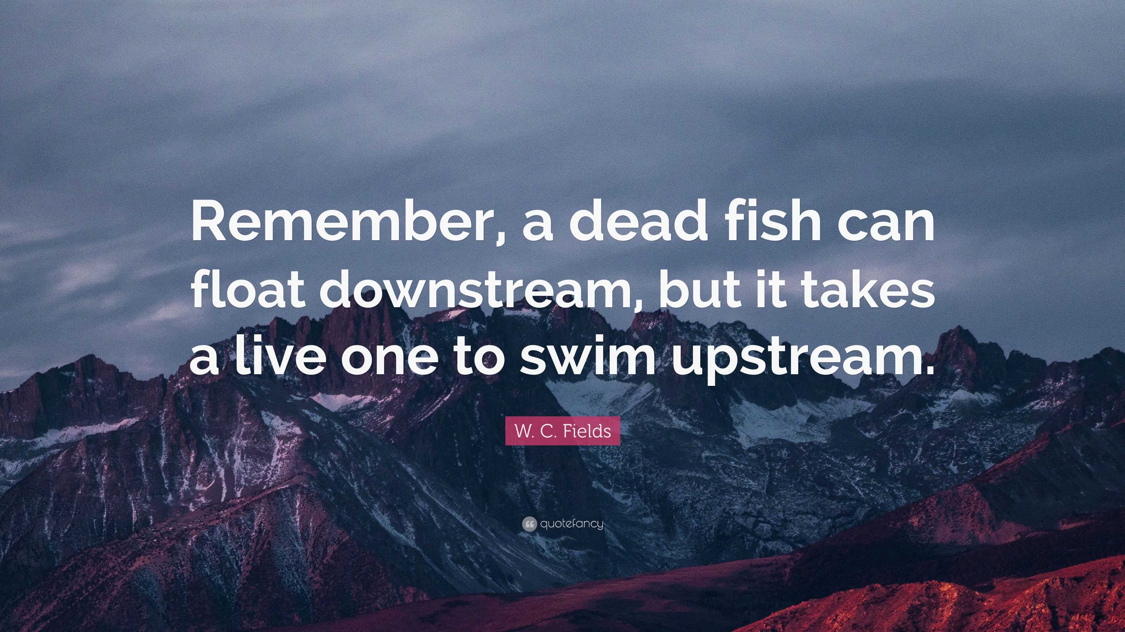 “Remember, a dead fish can float downstream, but it takes a live one to