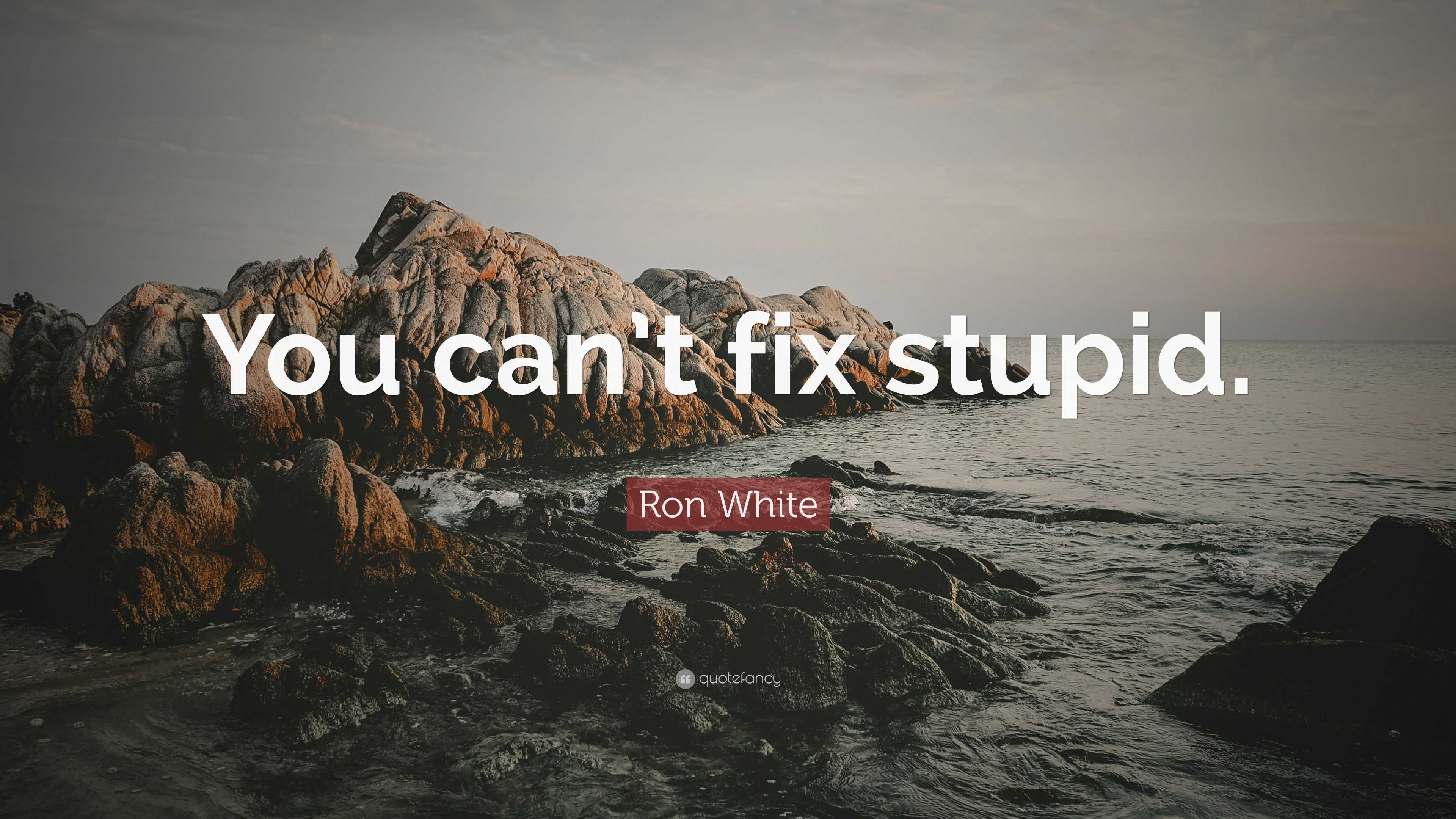 Ron White Quote: "You can't fix stupid." (12 wallpapers) - Quotefancy