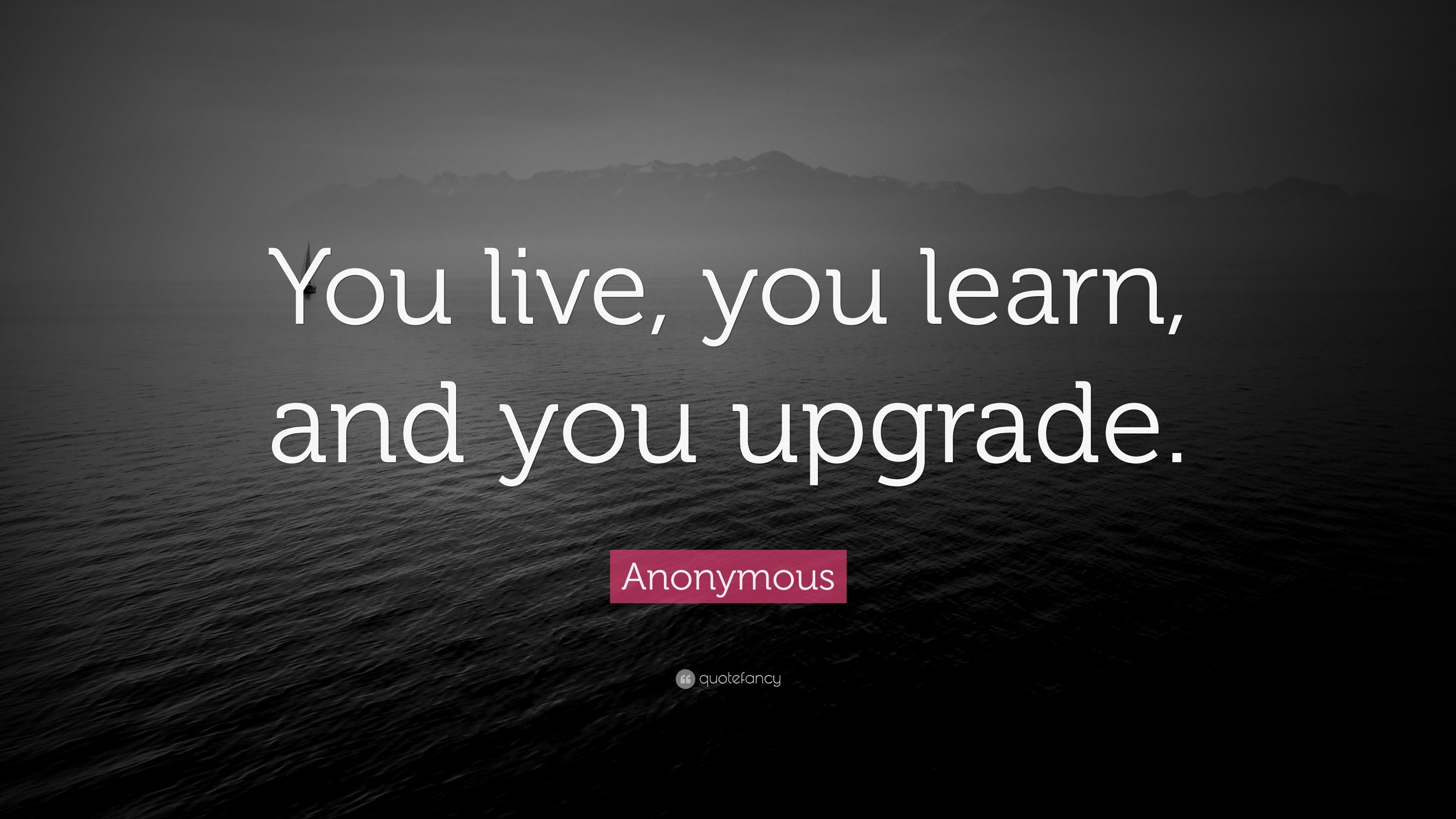 Anonymous Quote “you Live You Learn And You Upgrade ”