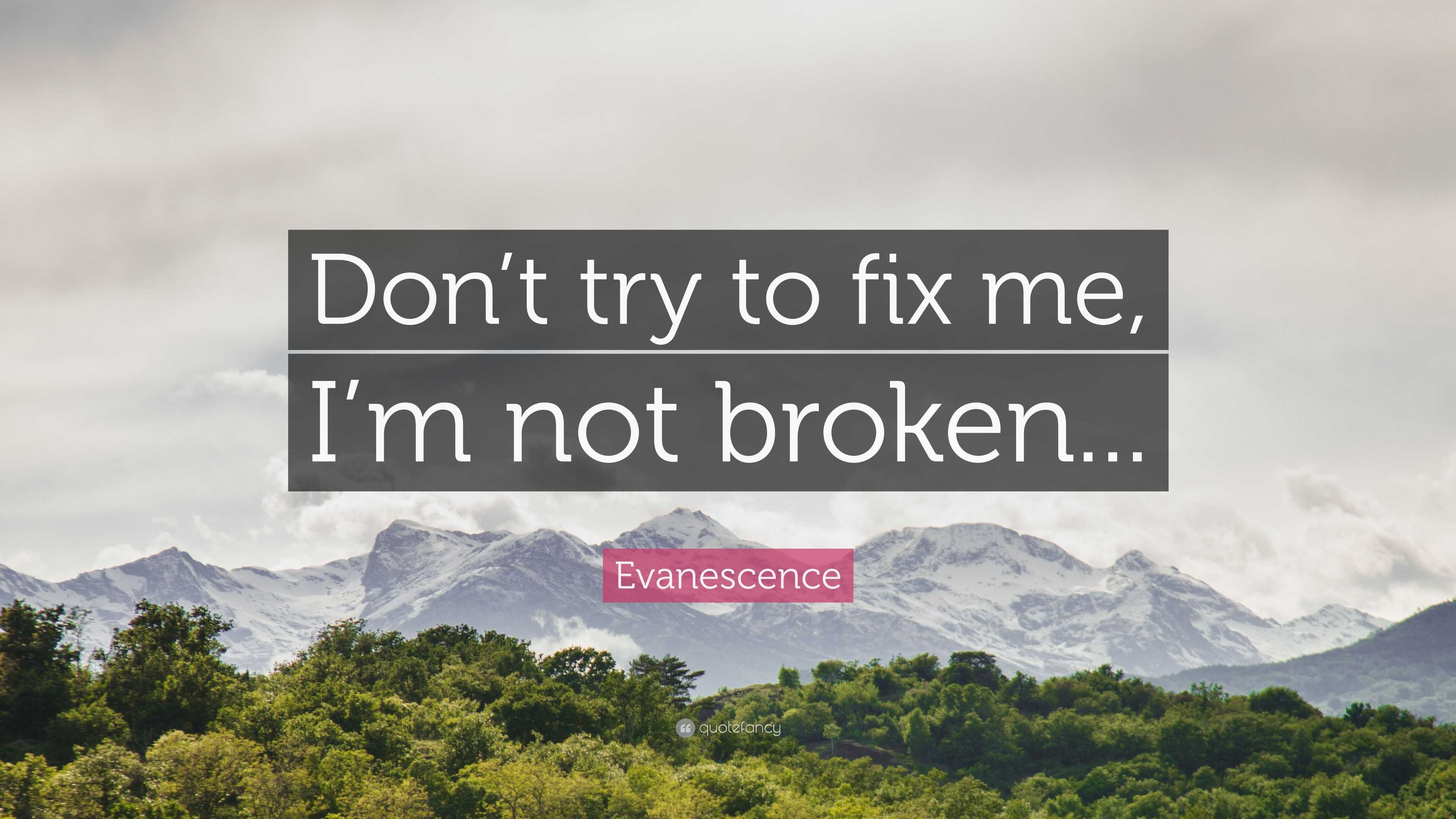 Evanescence Quote: “Don't try to fix me, I'm not broken...”