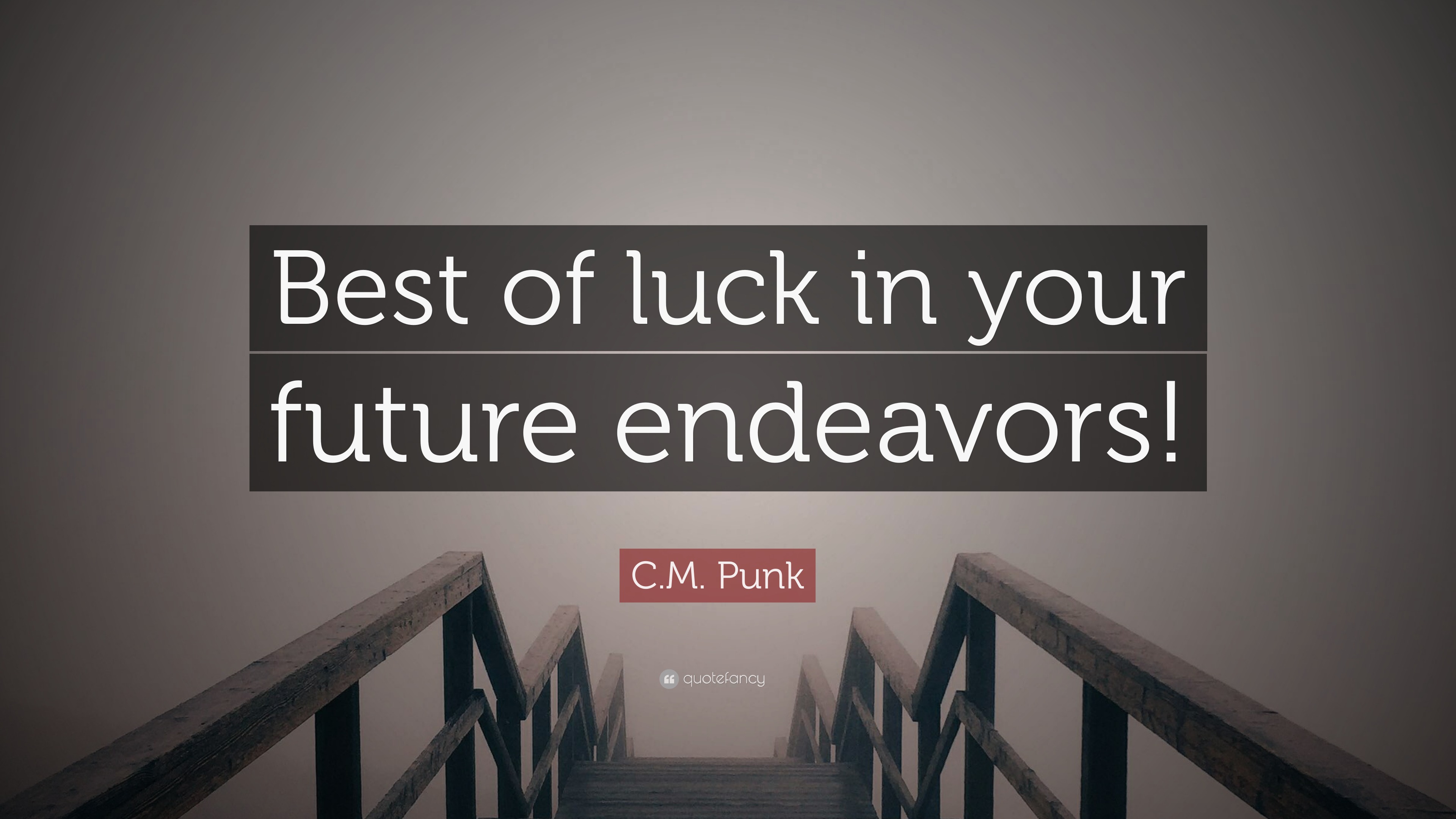 C.M. Punk Quote “Best of luck in your future endeavors!”