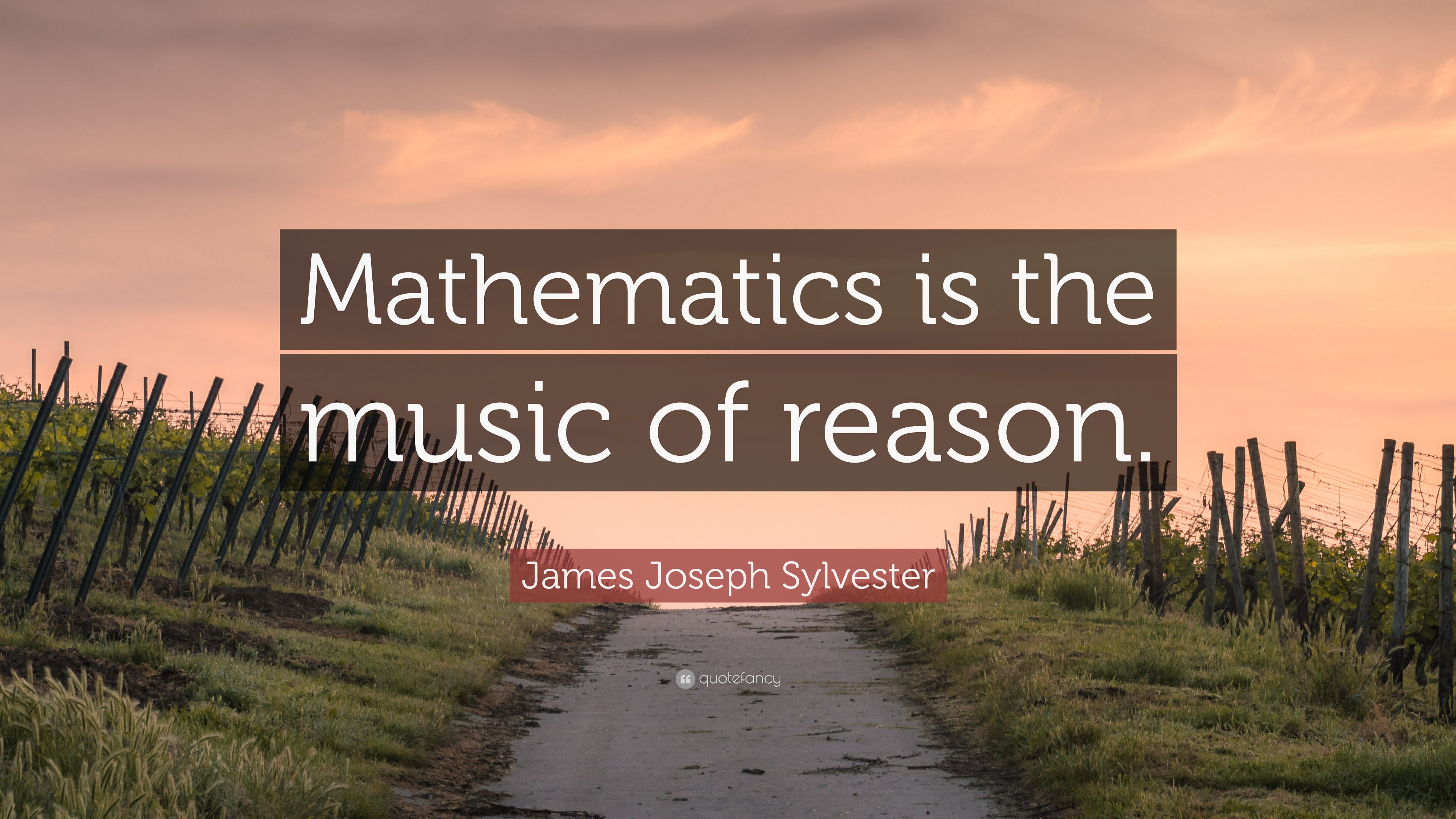 James Joseph Sylvester Quote: “Mathematics is the music of reason.”