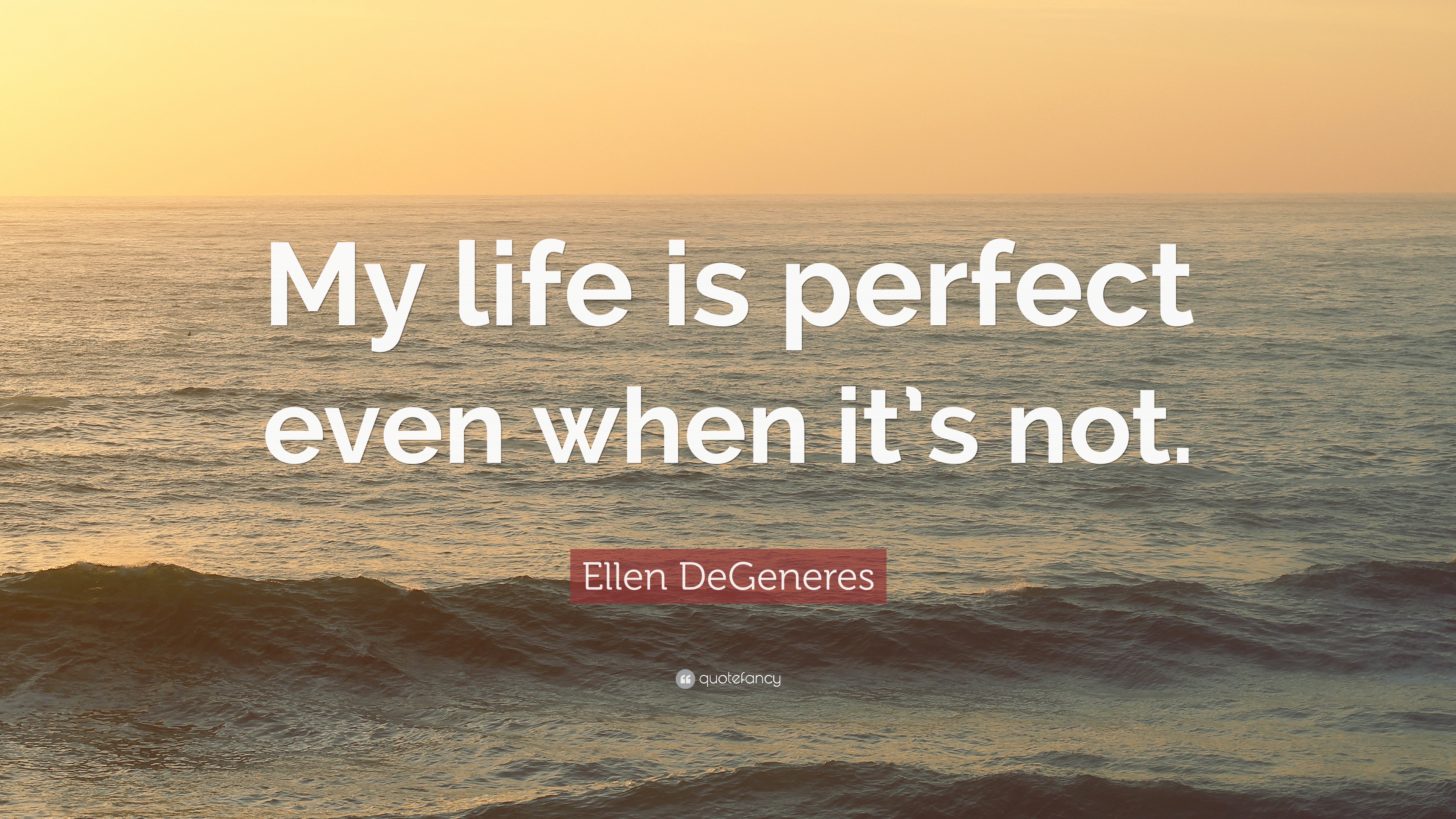 Ellen DeGeneres Quote My Life Is Perfect Even When It s Not 