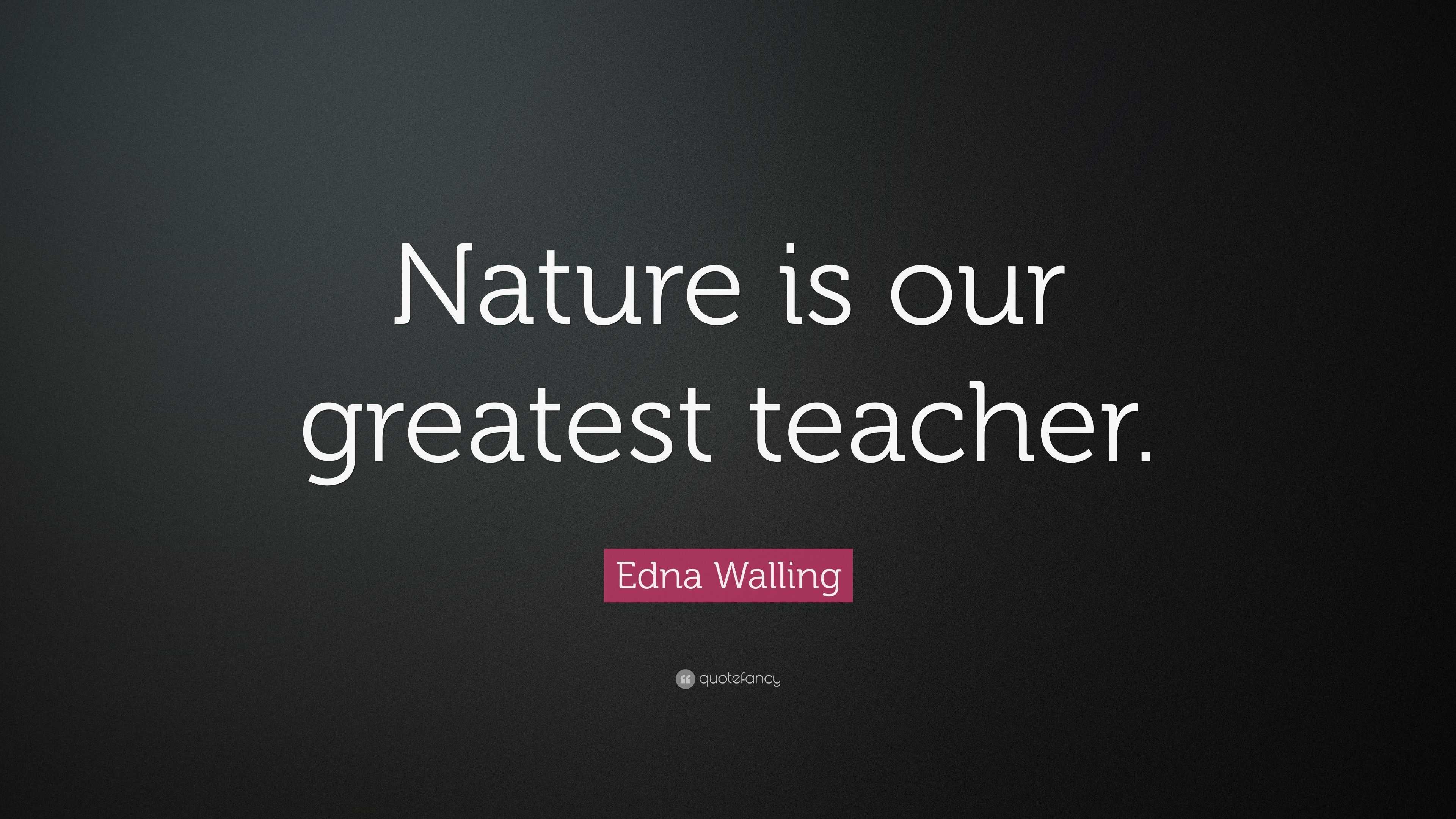 Who taught the first teacher image