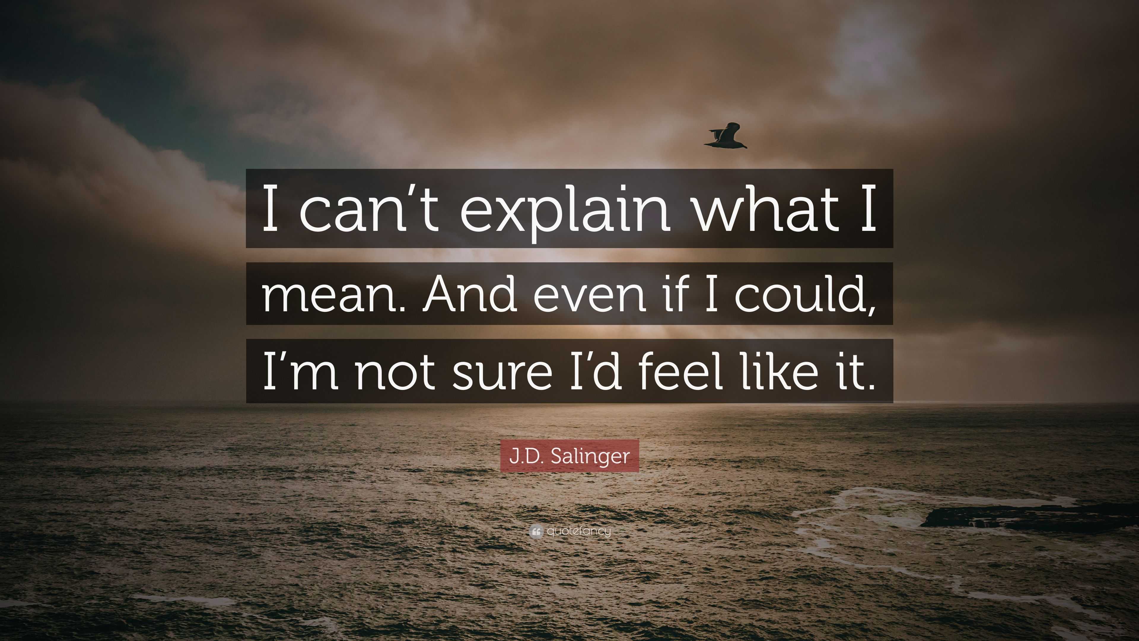 J D Salinger Quote I Can T Explain What I Mean And Even If I Could I M Not Sure I D Feel Like It 12 Wallpapers Quotefancy