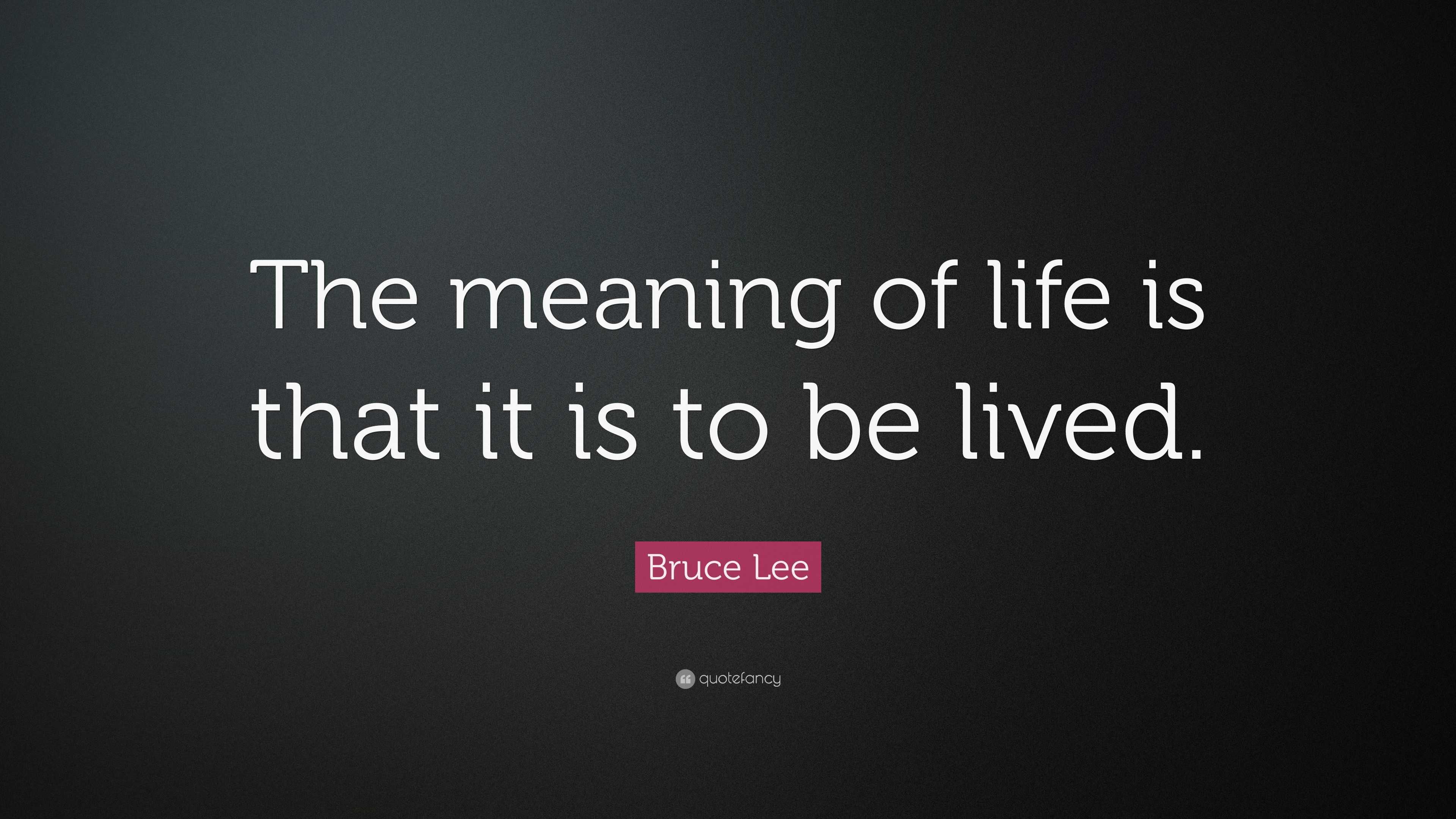 Bruce Lee Quote: “The meaning of life is that it is to be lived.”