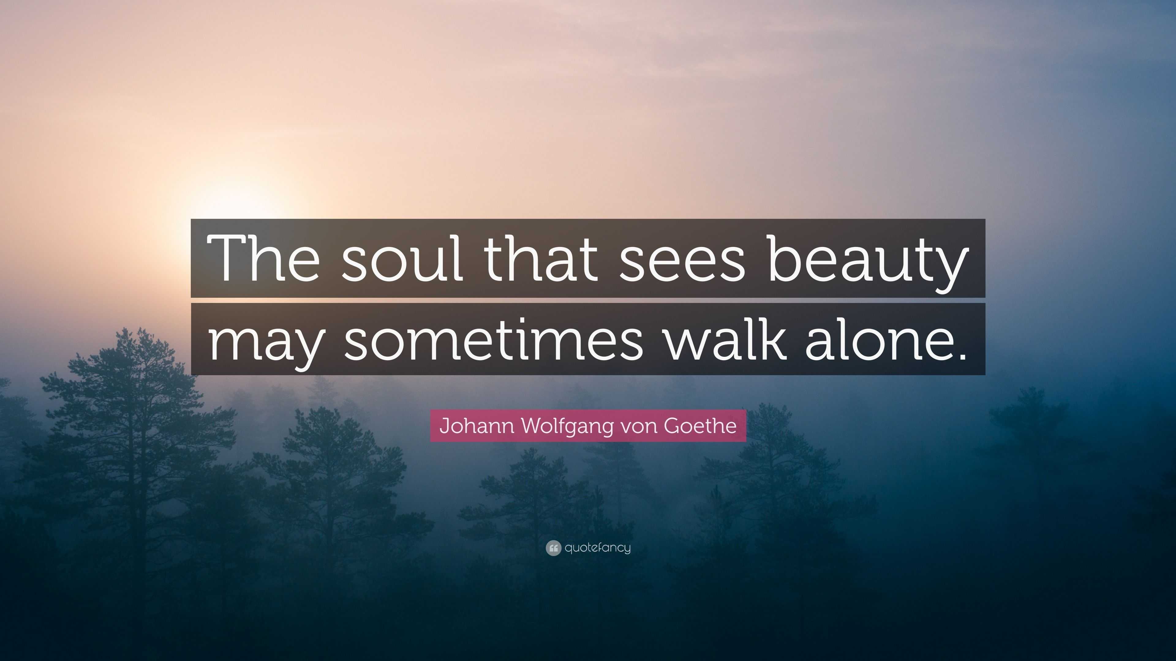 Johann Wolfgang von Goethe Quote: “The soul that sees beauty may ...