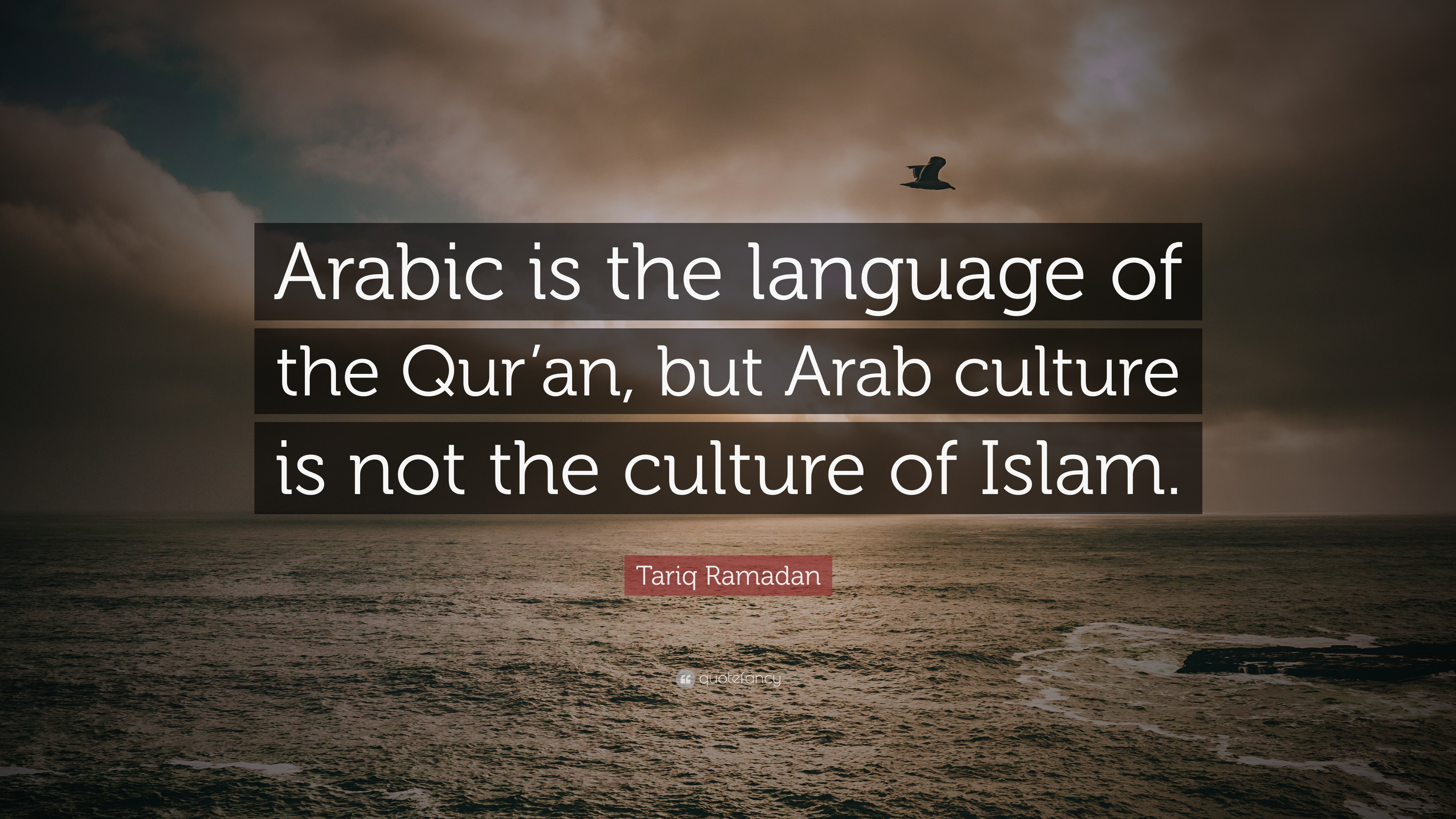 Tariq Ramadan Quote: “Arabic is the language of the Qur’an, but Arab