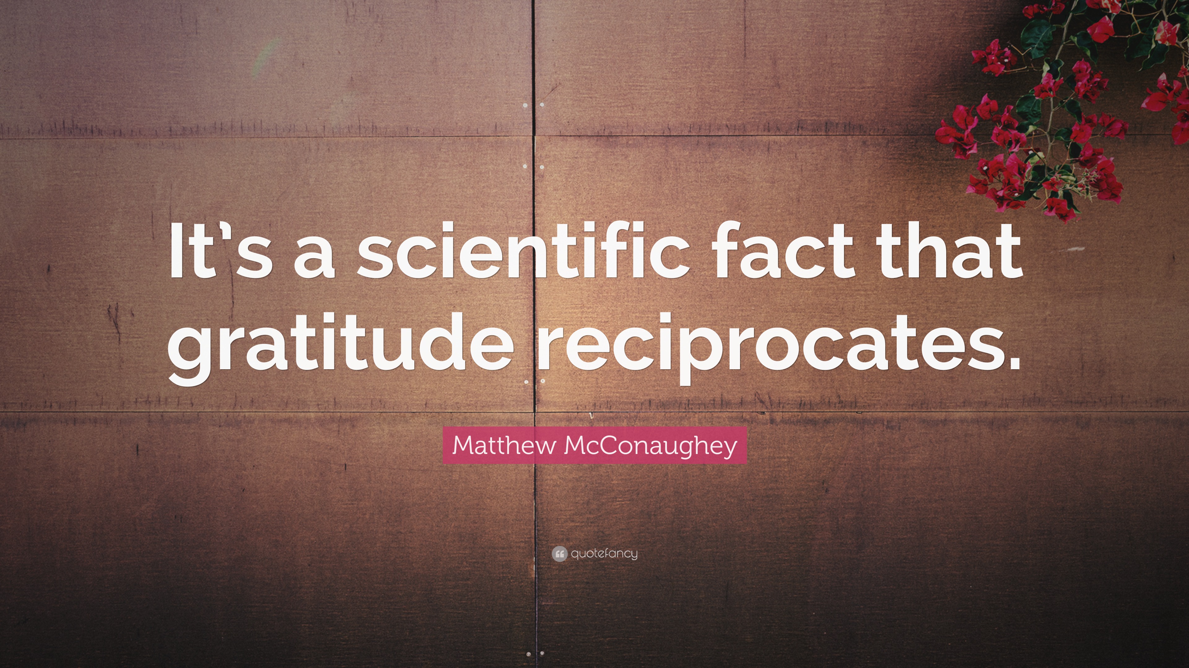 Matthew McConaughey Quote “It’s a scientific fact that gratitude reciprocates.”