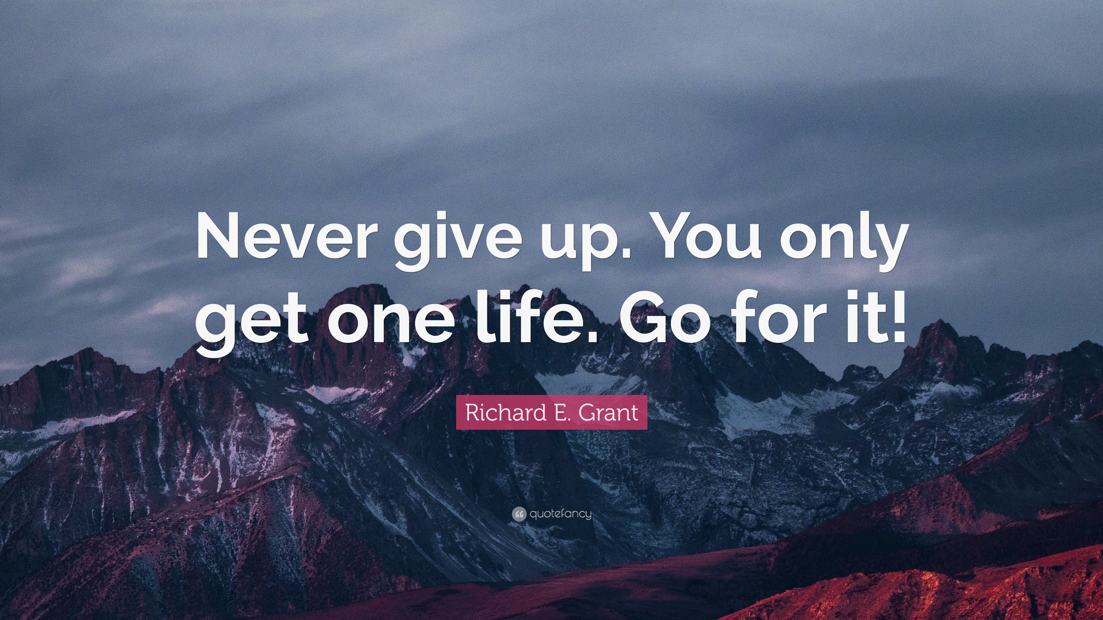 Richard E Grant Quote “Never give up You only one life