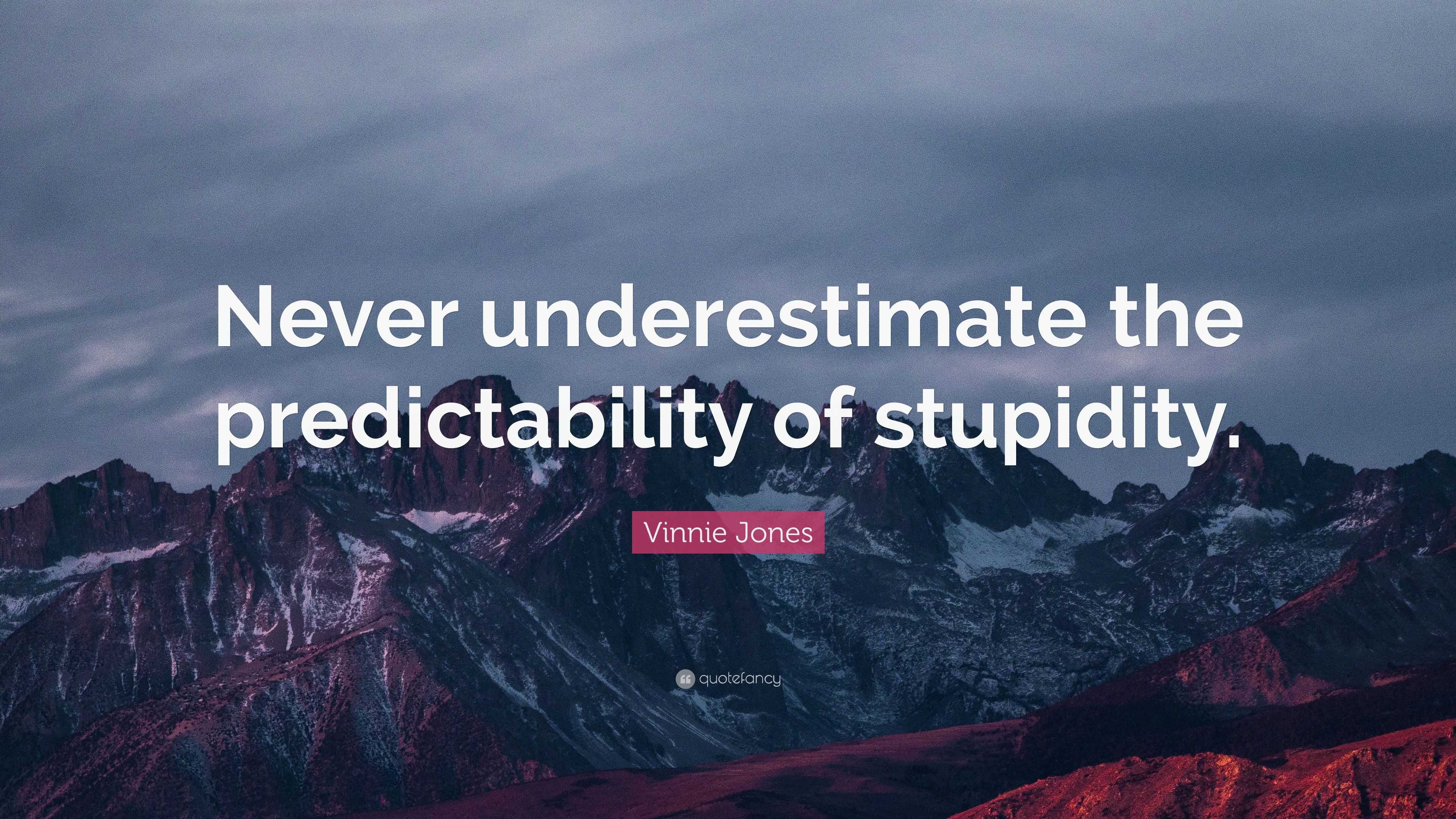 Vinnie Jones Quote: “Never underestimate the predictability of stupidity.”