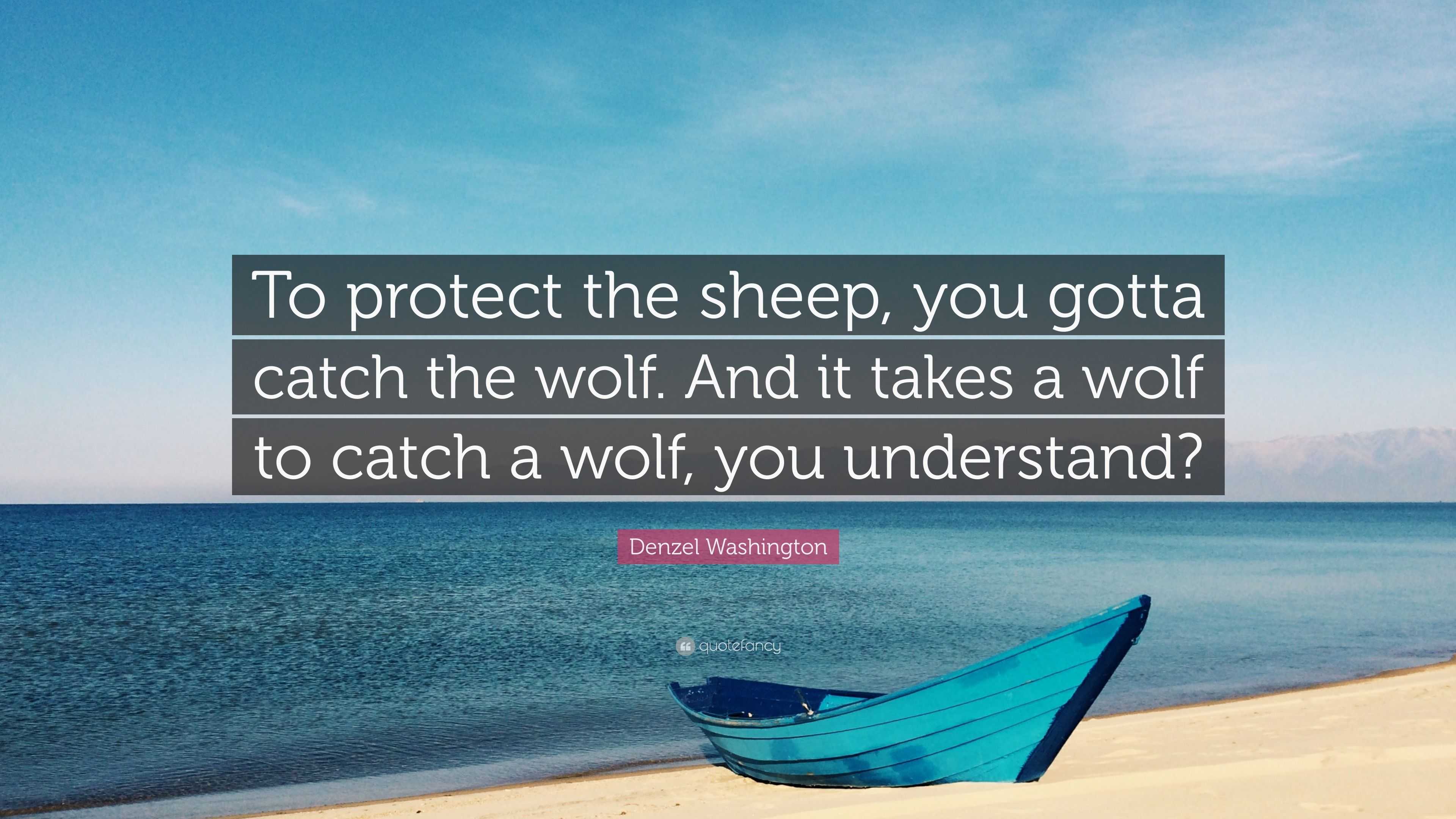 Unbelievable! Great Dane Takes On A Wolf – You Won'T Believe What Happens - zz1oxck