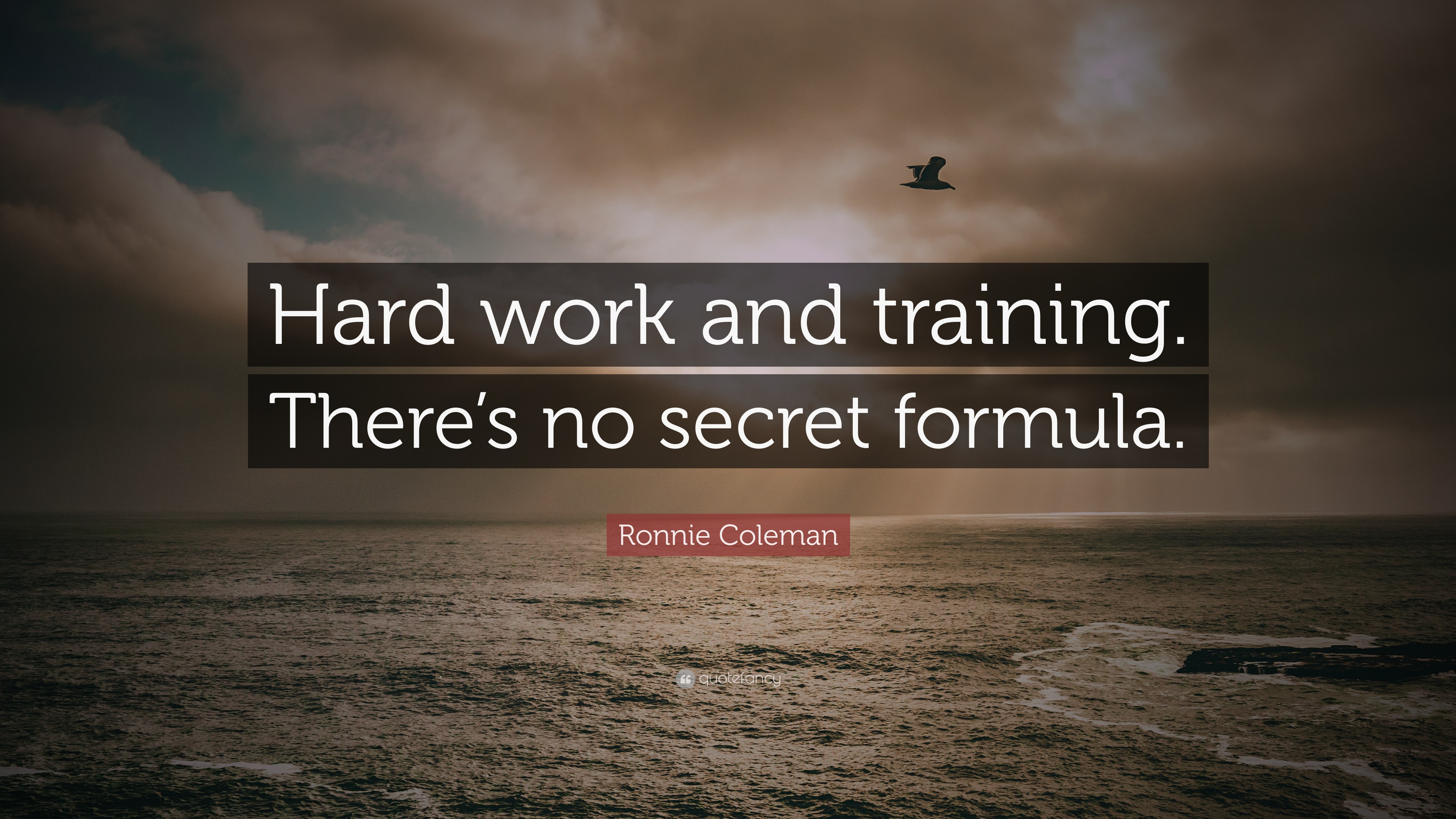 Ronnie Coleman Quote “Hard work and training. There’s no