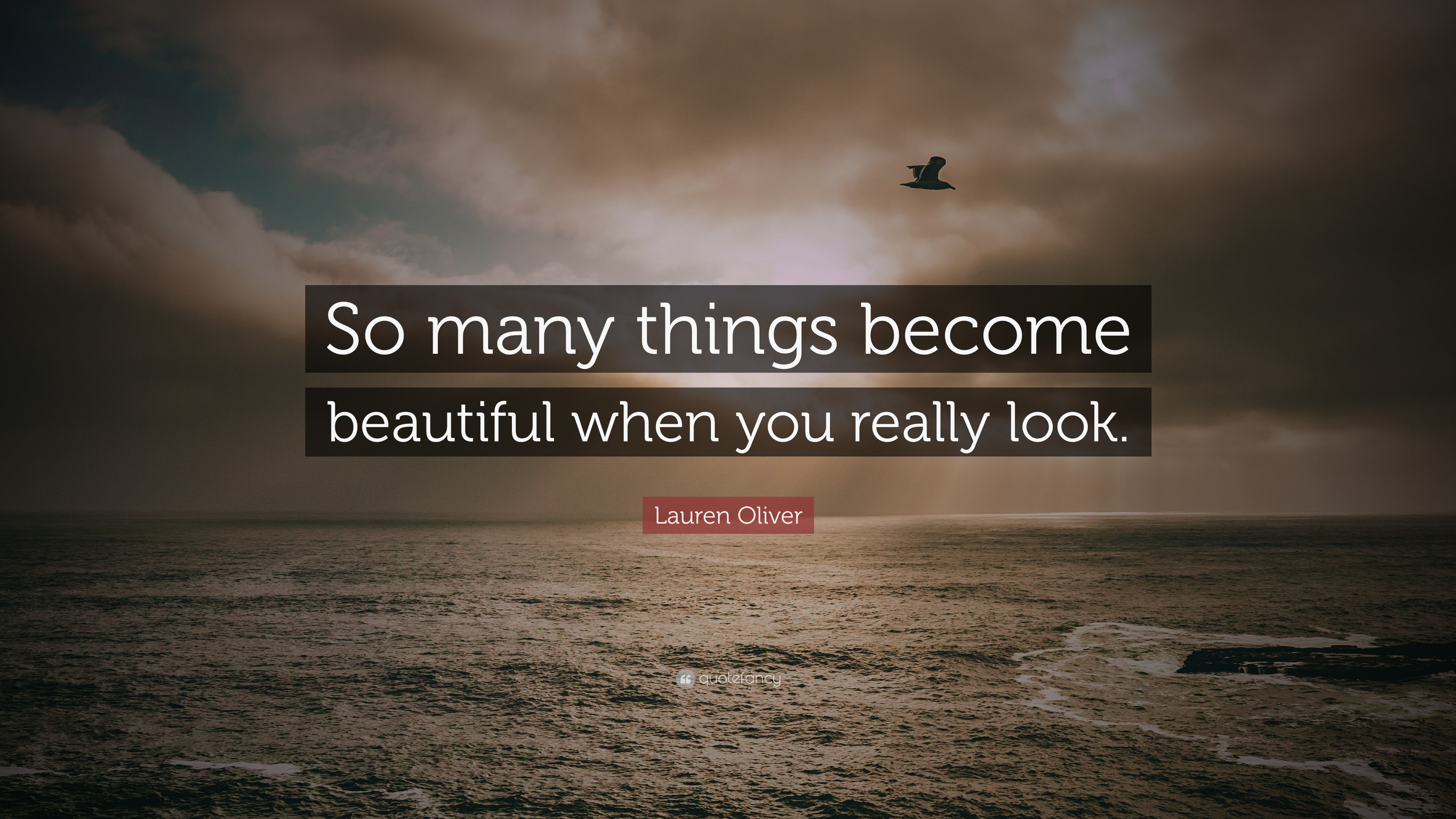 Lauren Oliver Quote: “So many things become beautiful when you really look.”