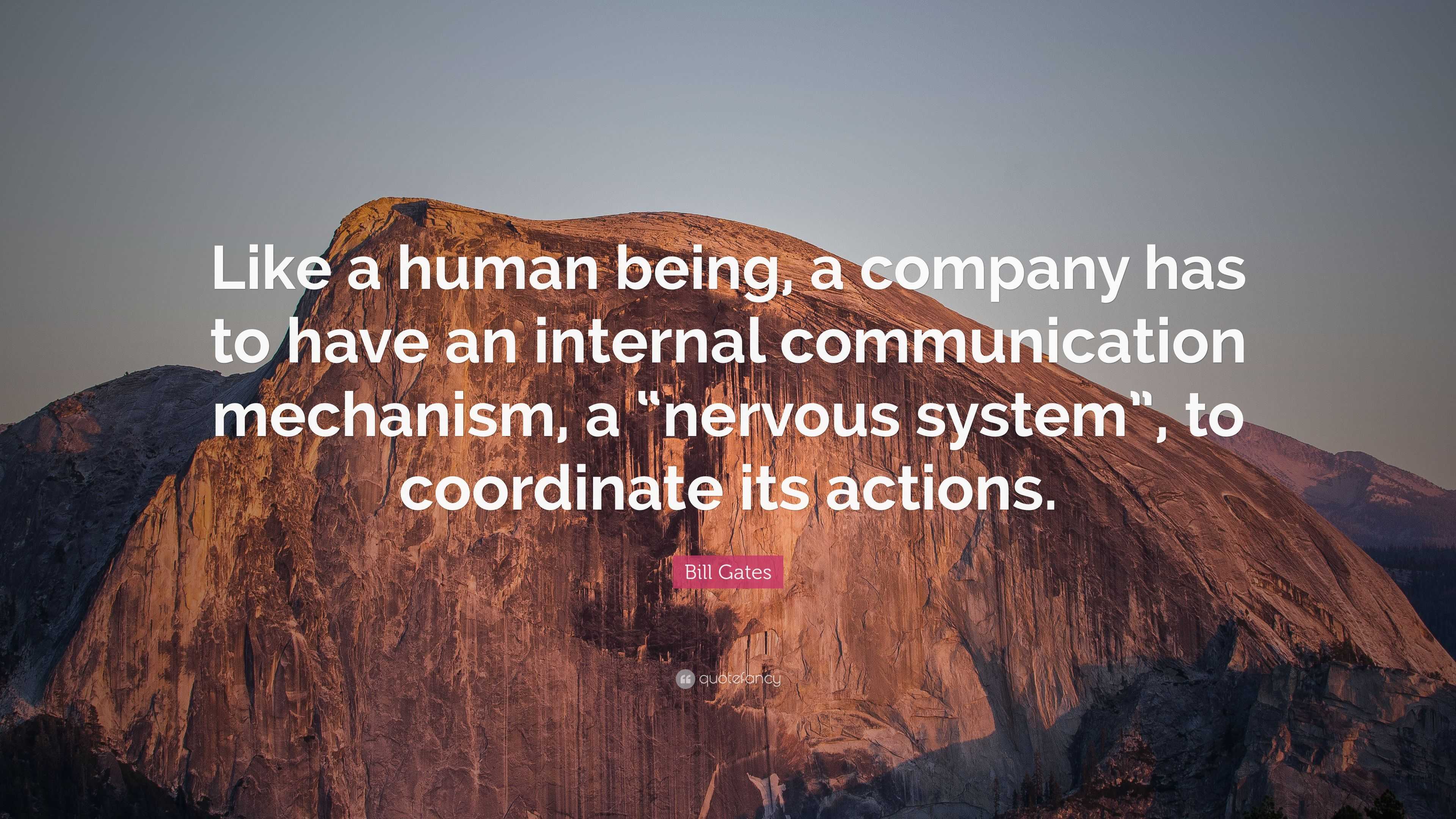 Bill Gates Quote: “Like a human being, a company has to have an