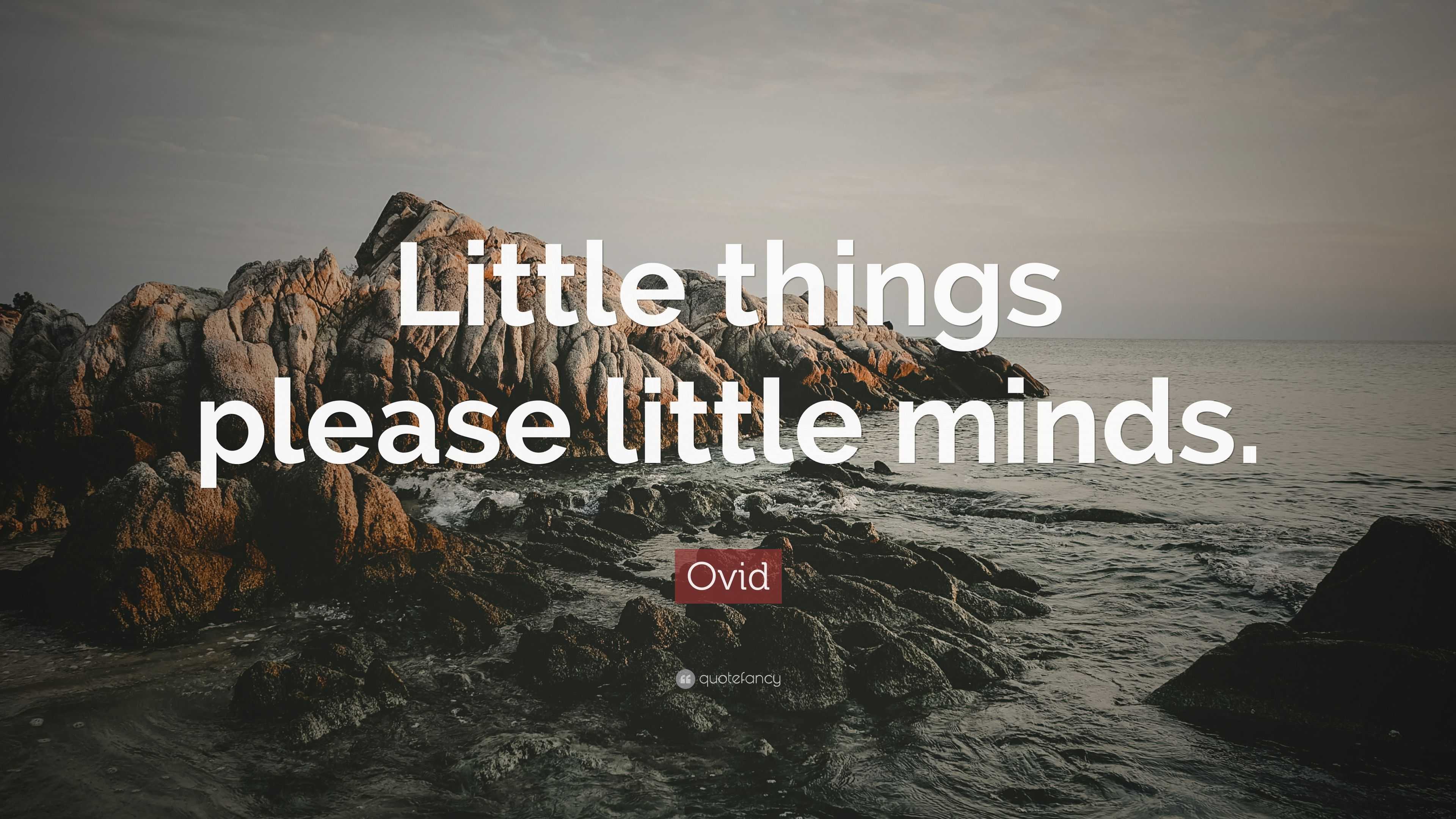 Ovid Quote Little Things Please Little Minds 