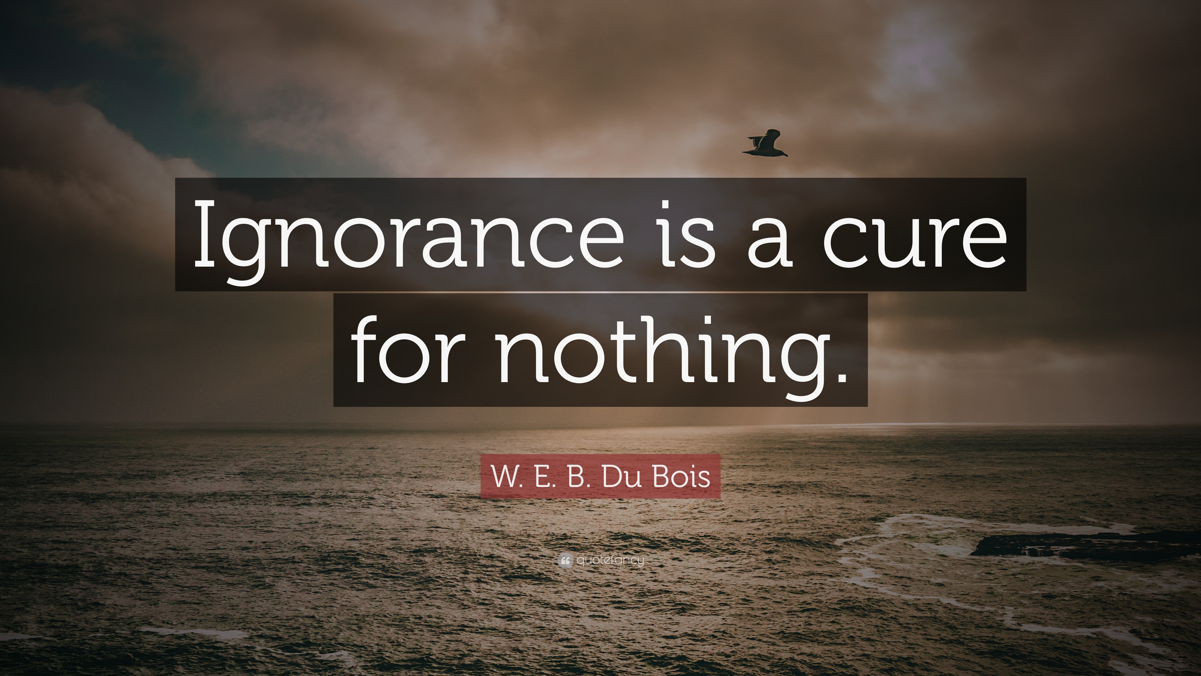 W. E. B. Du Bois Quote: “Ignorance is a cure for nothing.”