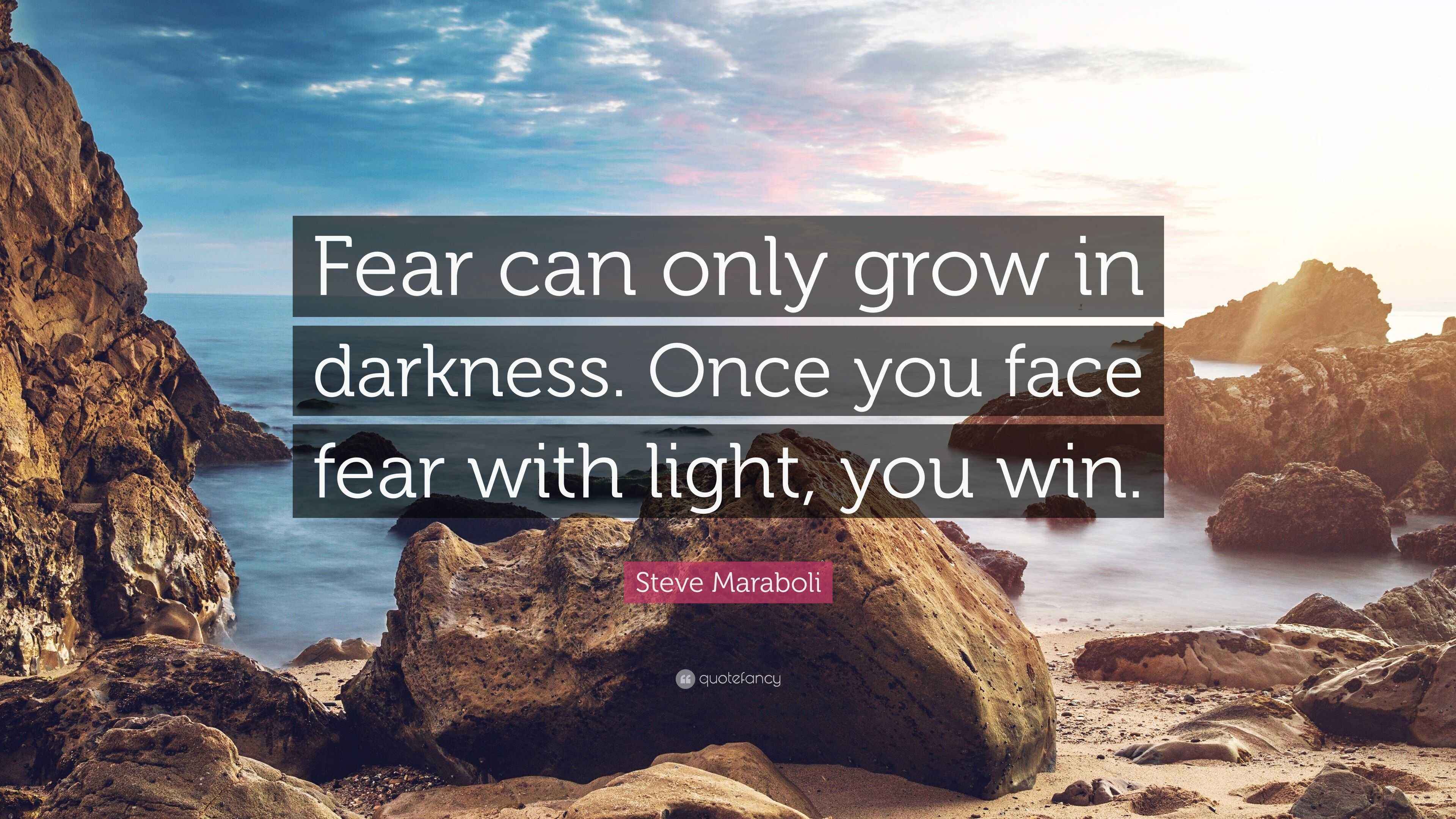 Steve Maraboli Quote “Fear can only grow in darkness. Once you face
