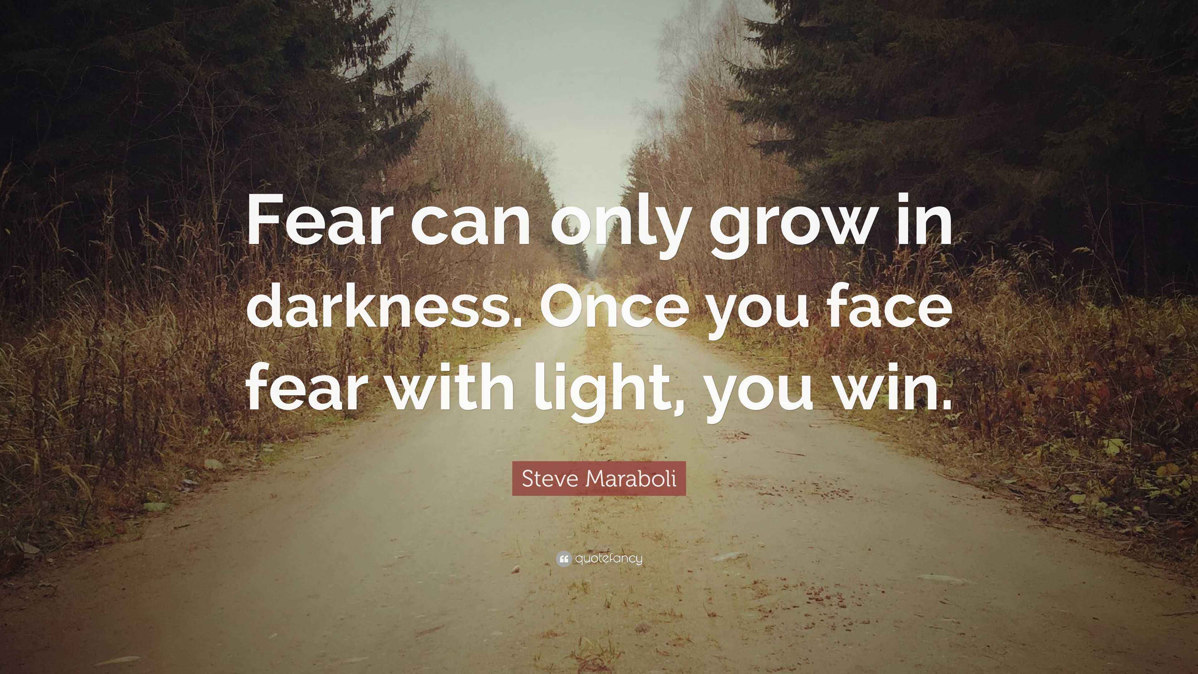 Steve Maraboli Quote “Fear can only grow in darkness. Once you face