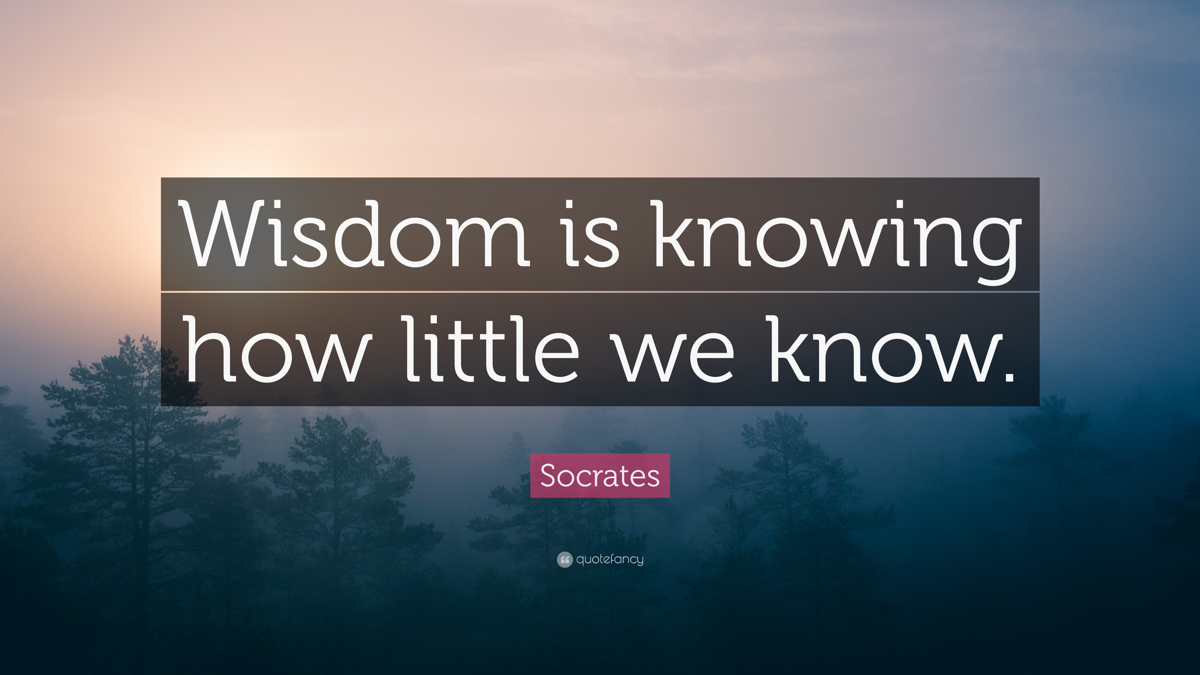 Socrates Quote: “wisdom Is Knowing How Little We Know.”