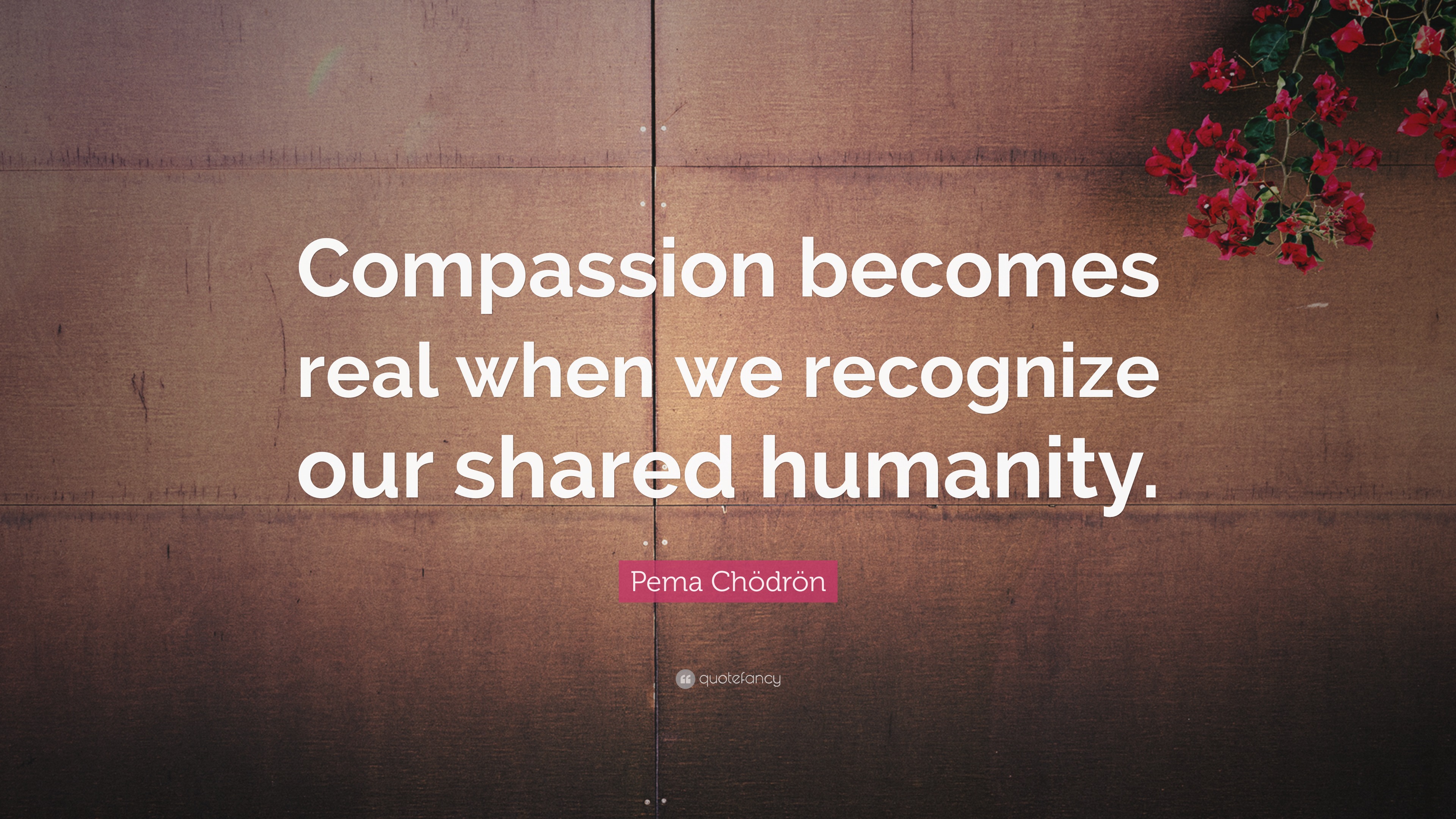 Pema Chödrön Quote: “Compassion becomes real when we recognize our ...