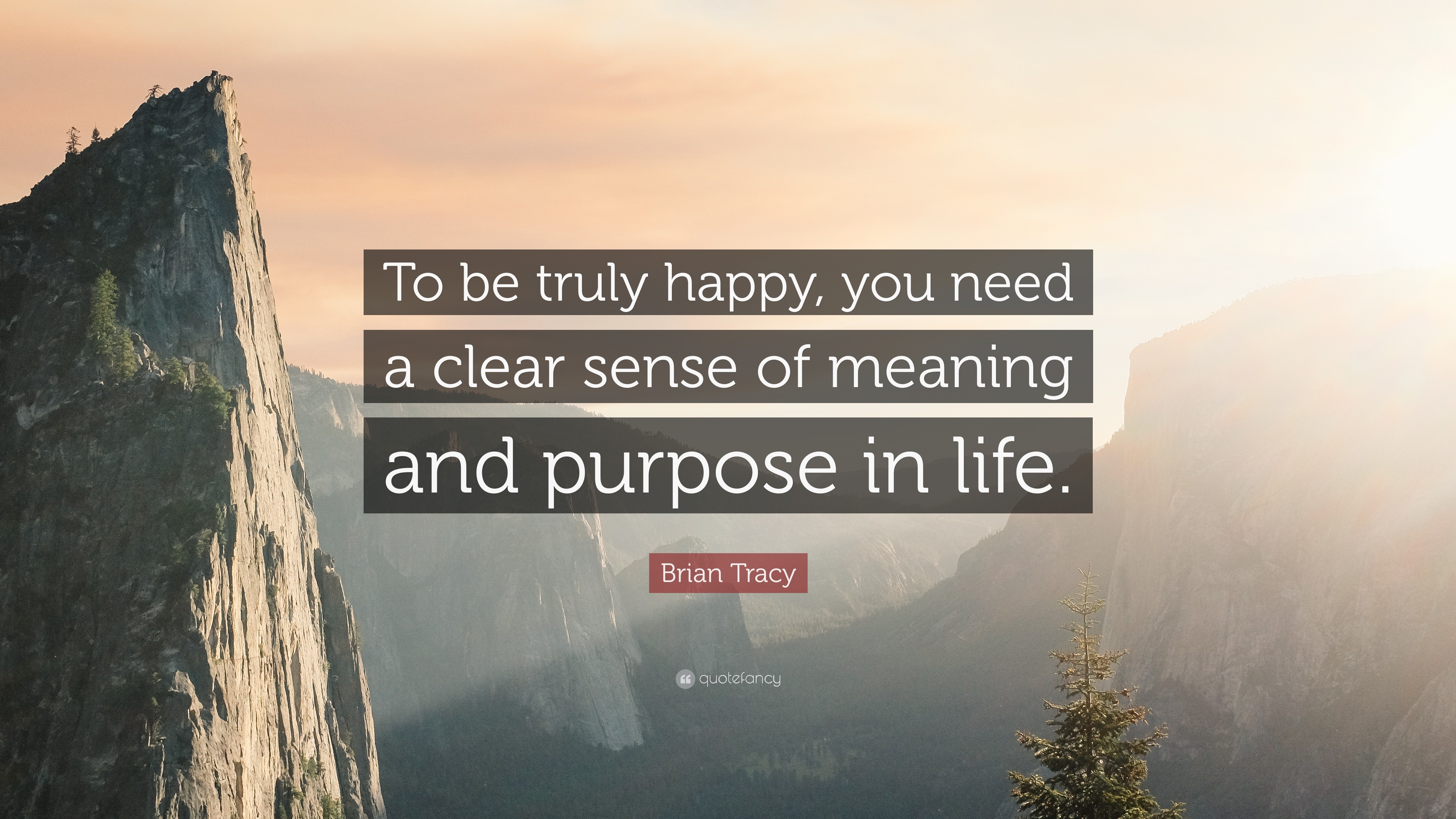 Brian Tracy Quote “To be truly happy you need a clear sense of