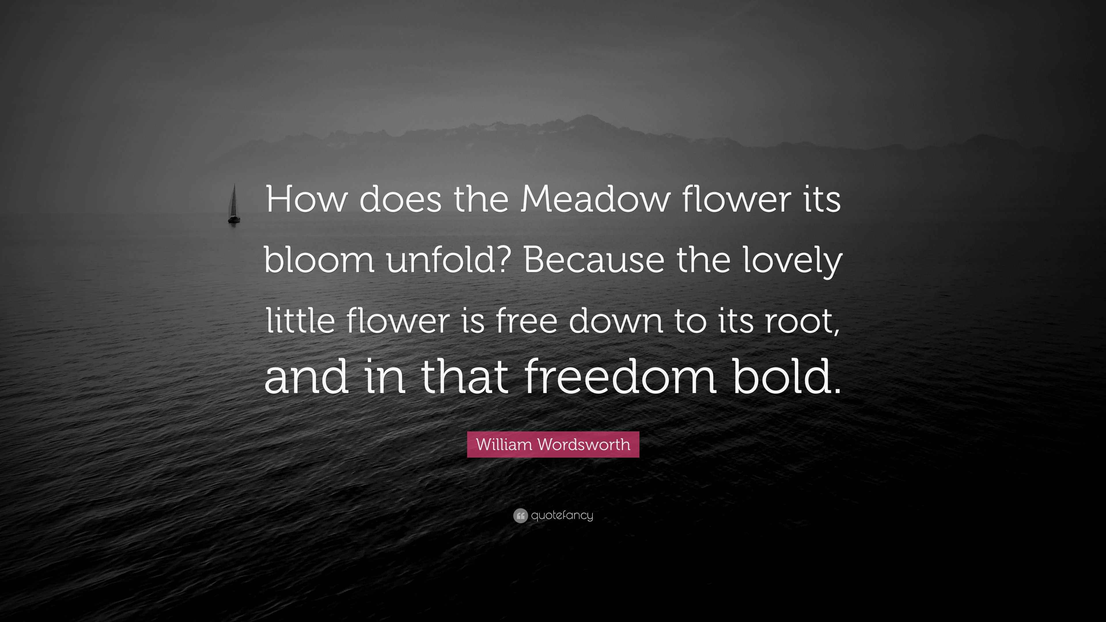 William Wordsworth Quote “How does the Meadow flower its bloom unfold