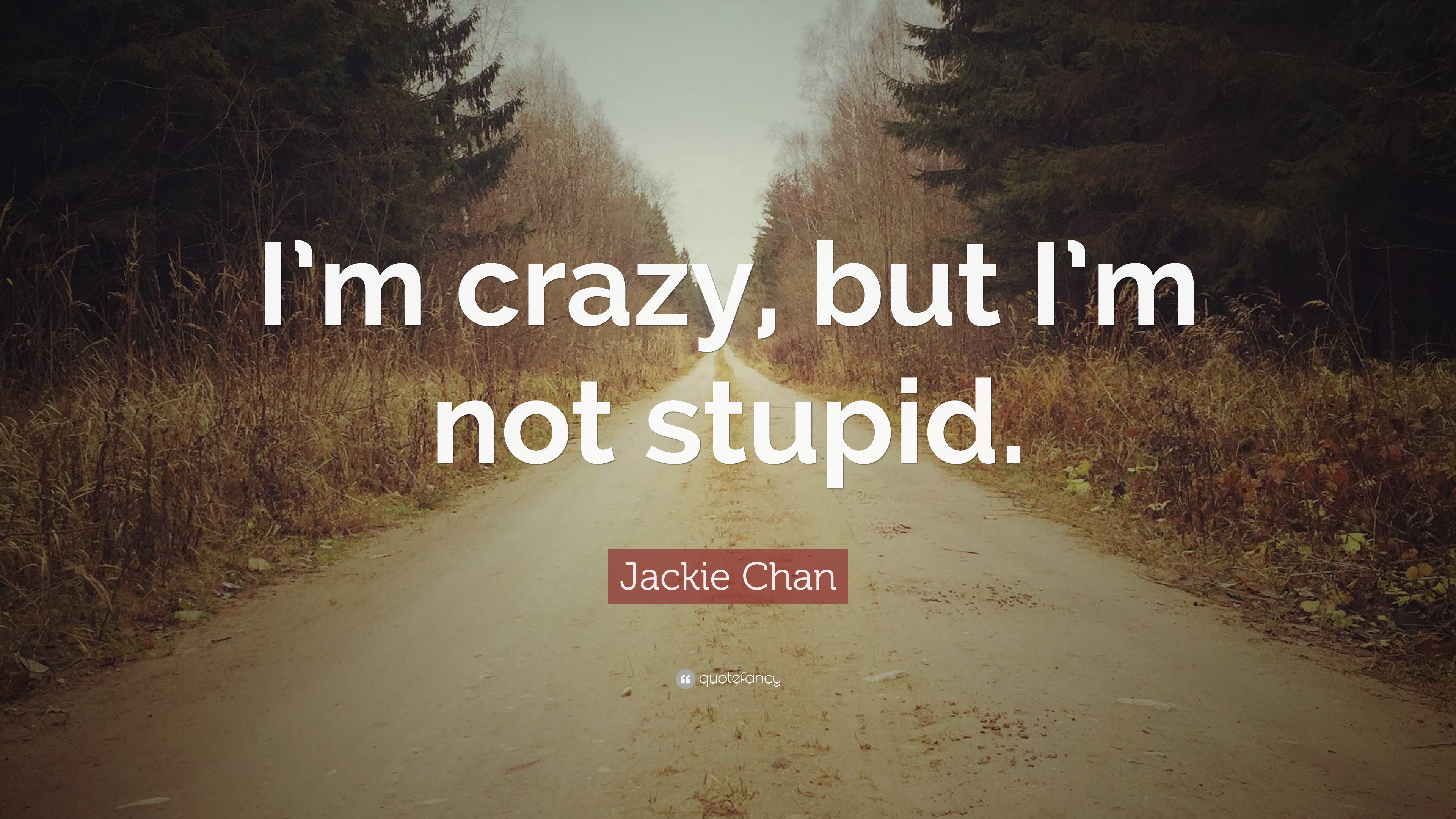 Jackie Chan Quote: "I'm crazy, but I'm not stupid."