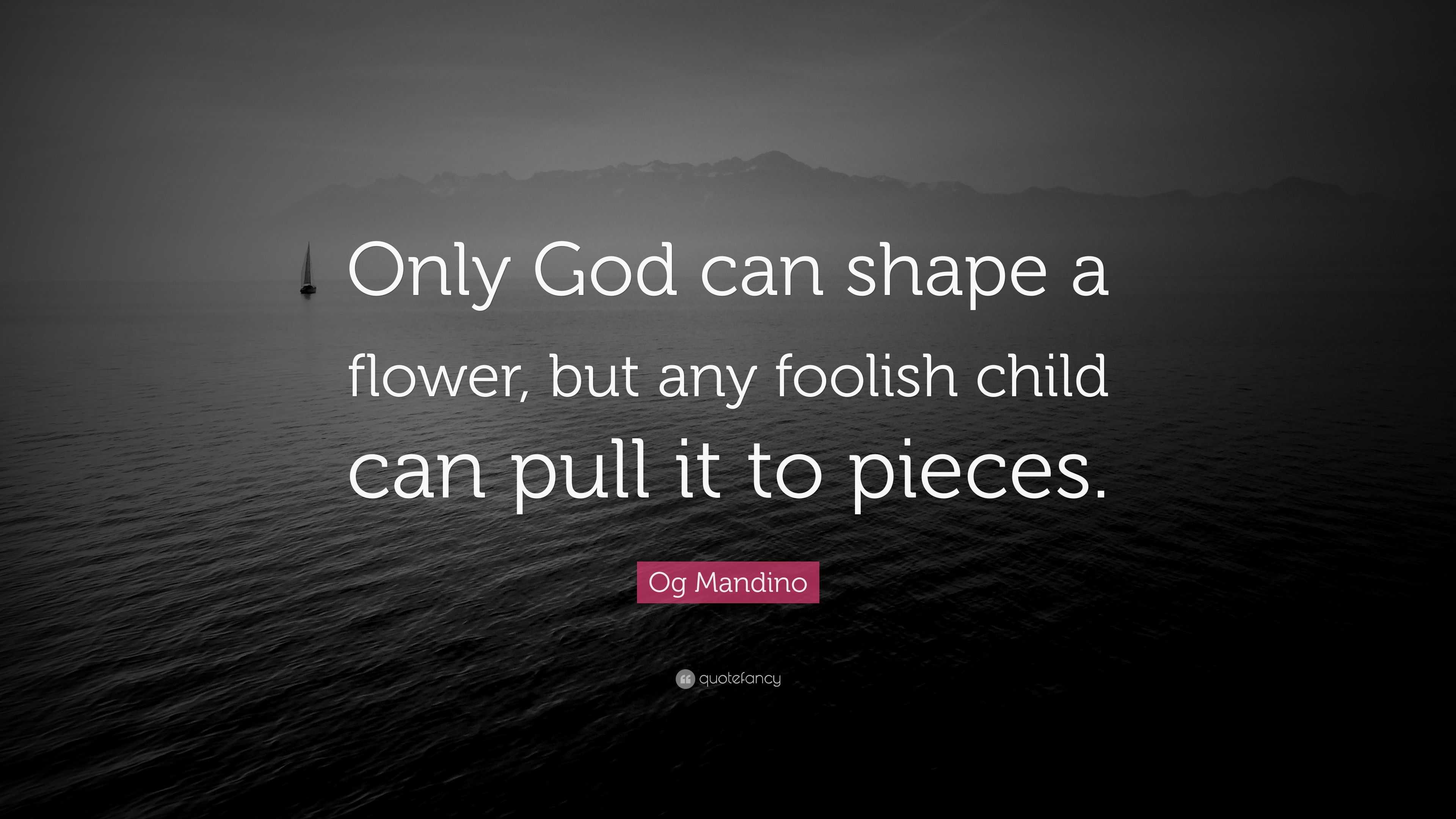 og-mandino-quote-only-god-can-shape-a-flower-but-any-foolish-child-can-pull-it-to-pieces