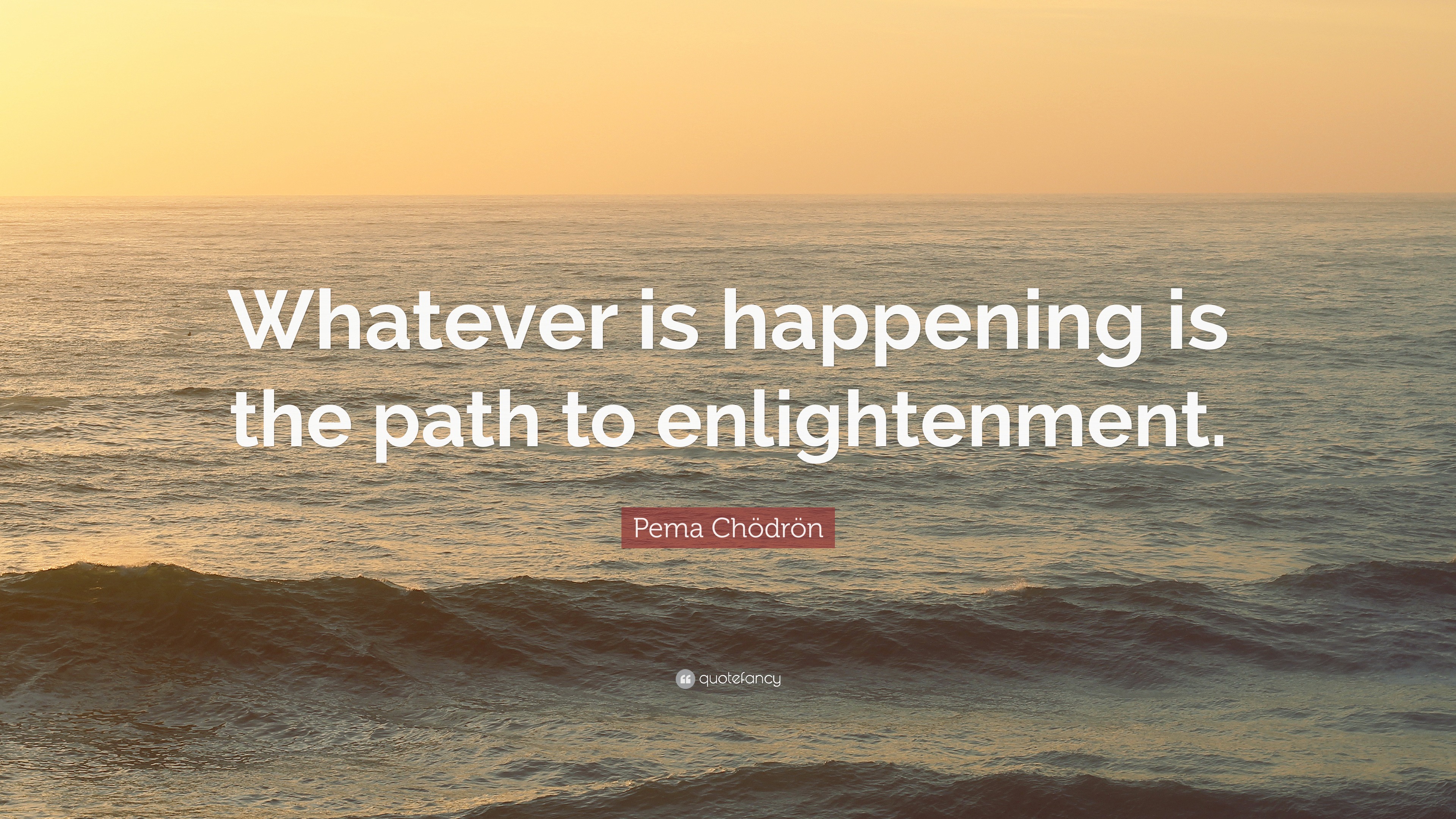 Pema Chödrön Quote: “Whatever is happening is the path to enlightenment.”