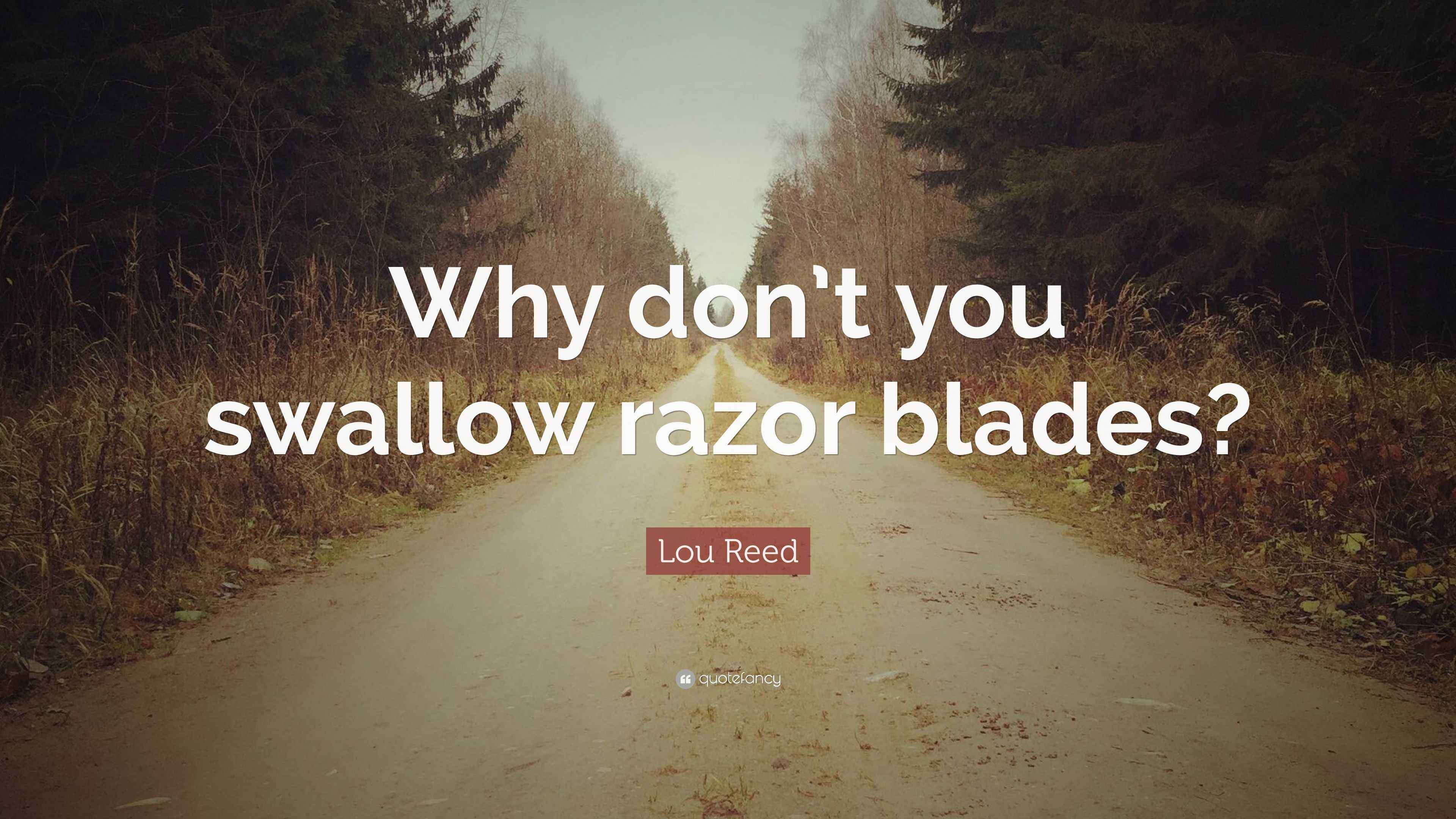 Lou Reed Quote “Why don’t you swallow razor blades?”