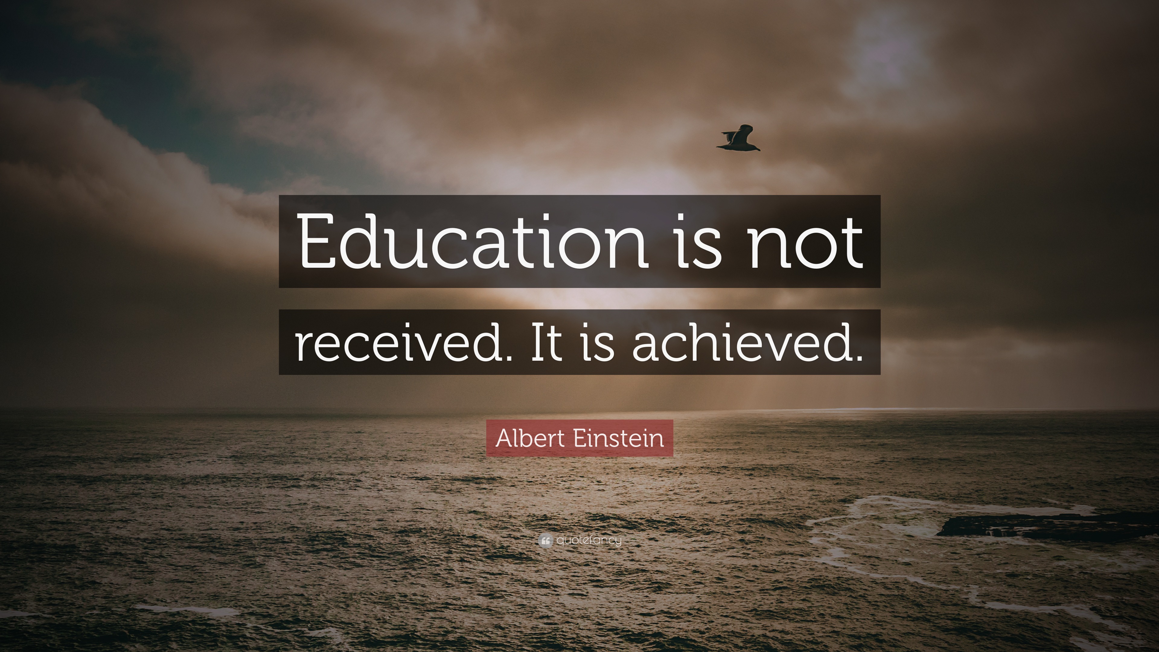 Albert Einstein Quote: “Education is not received. It is achieved.”