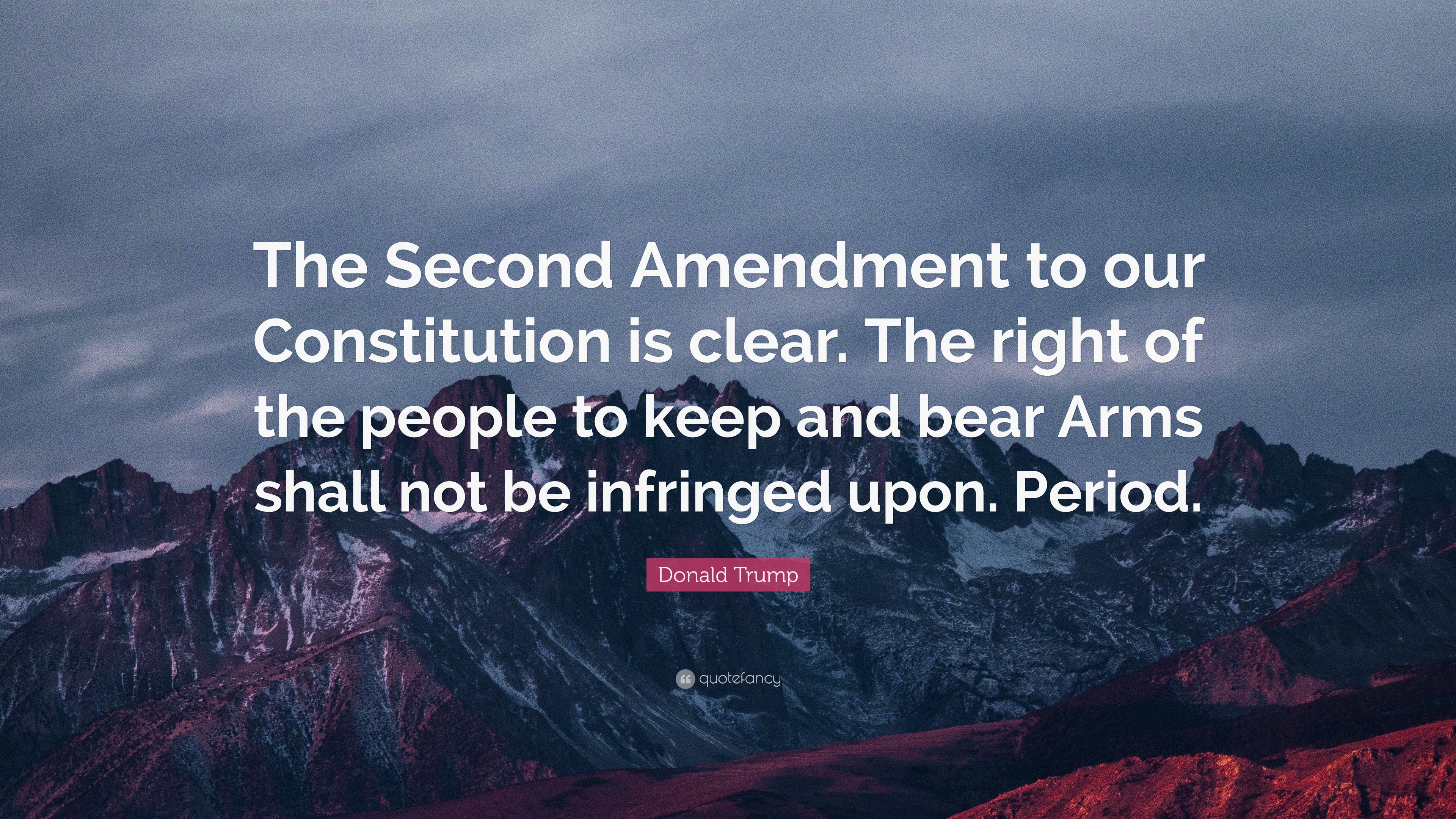 Donald Trump Quote “The Second Amendment to our Constitution is clear