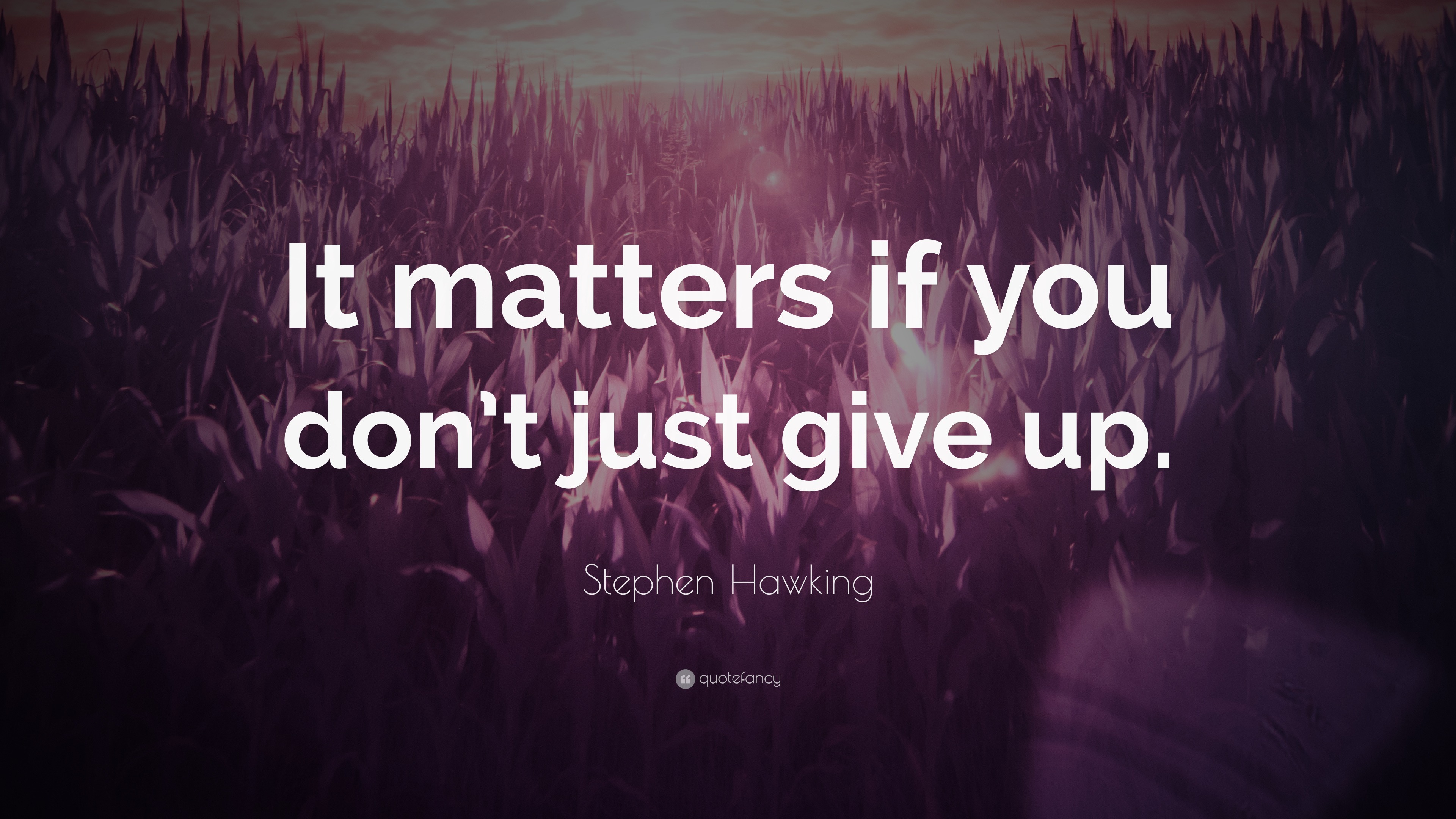 Stephen Hawking Quote: “It matters if you don’t just give up.”