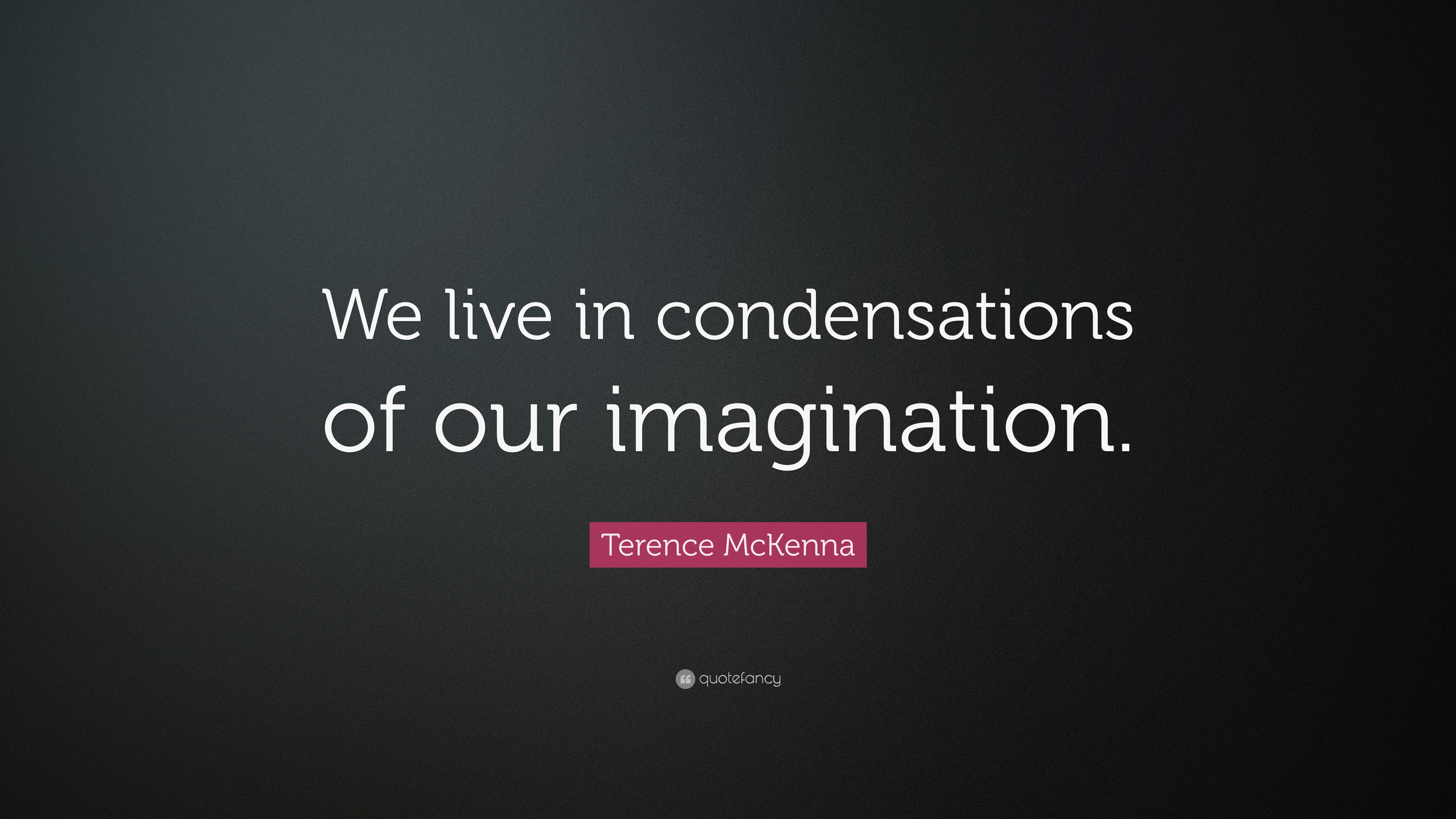 Terence McKenna Quote “We live in condensations of our imagination.”