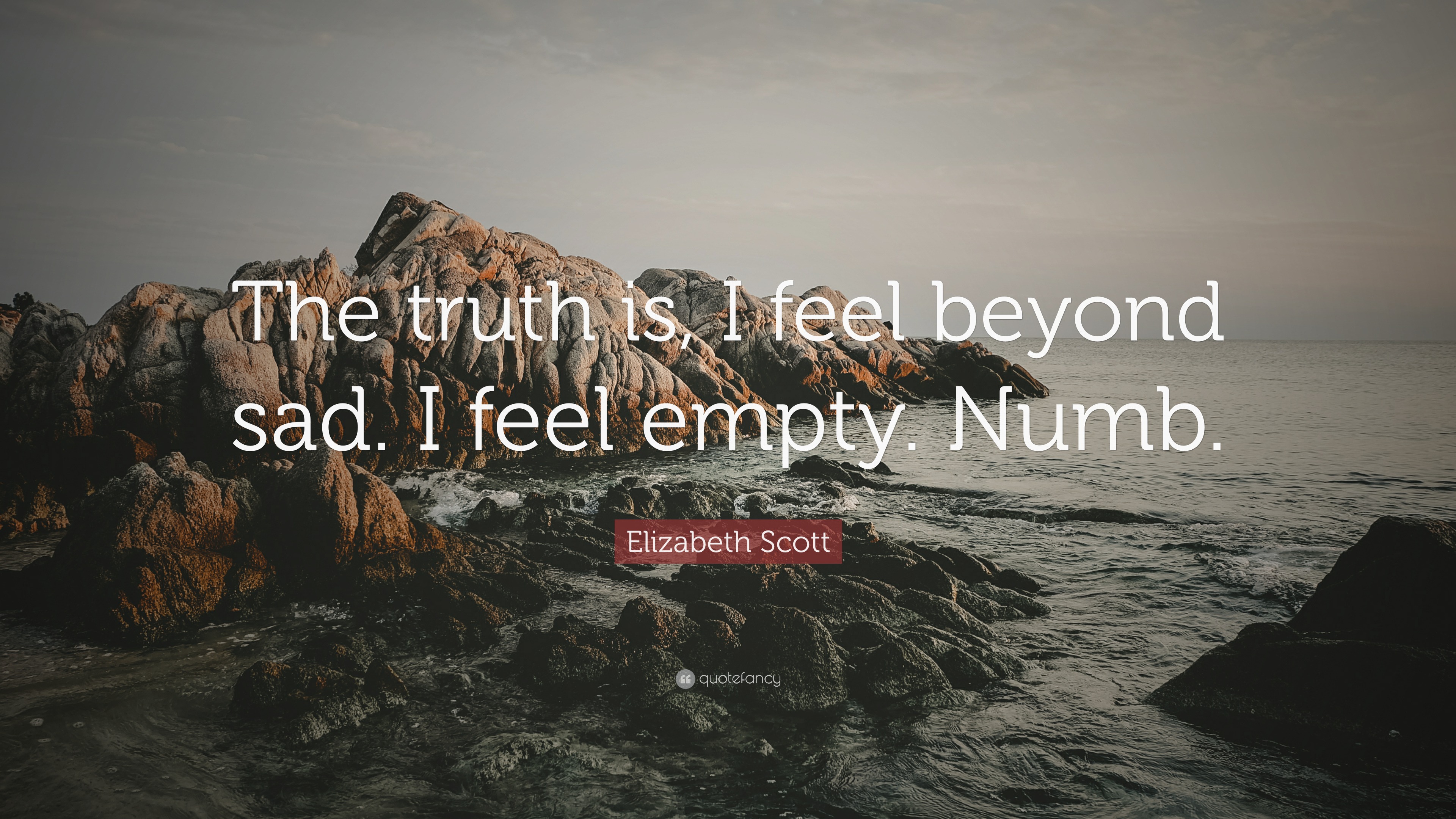 Elizabeth Scott Quote “The truth is, I feel beyond sad. I feel empty