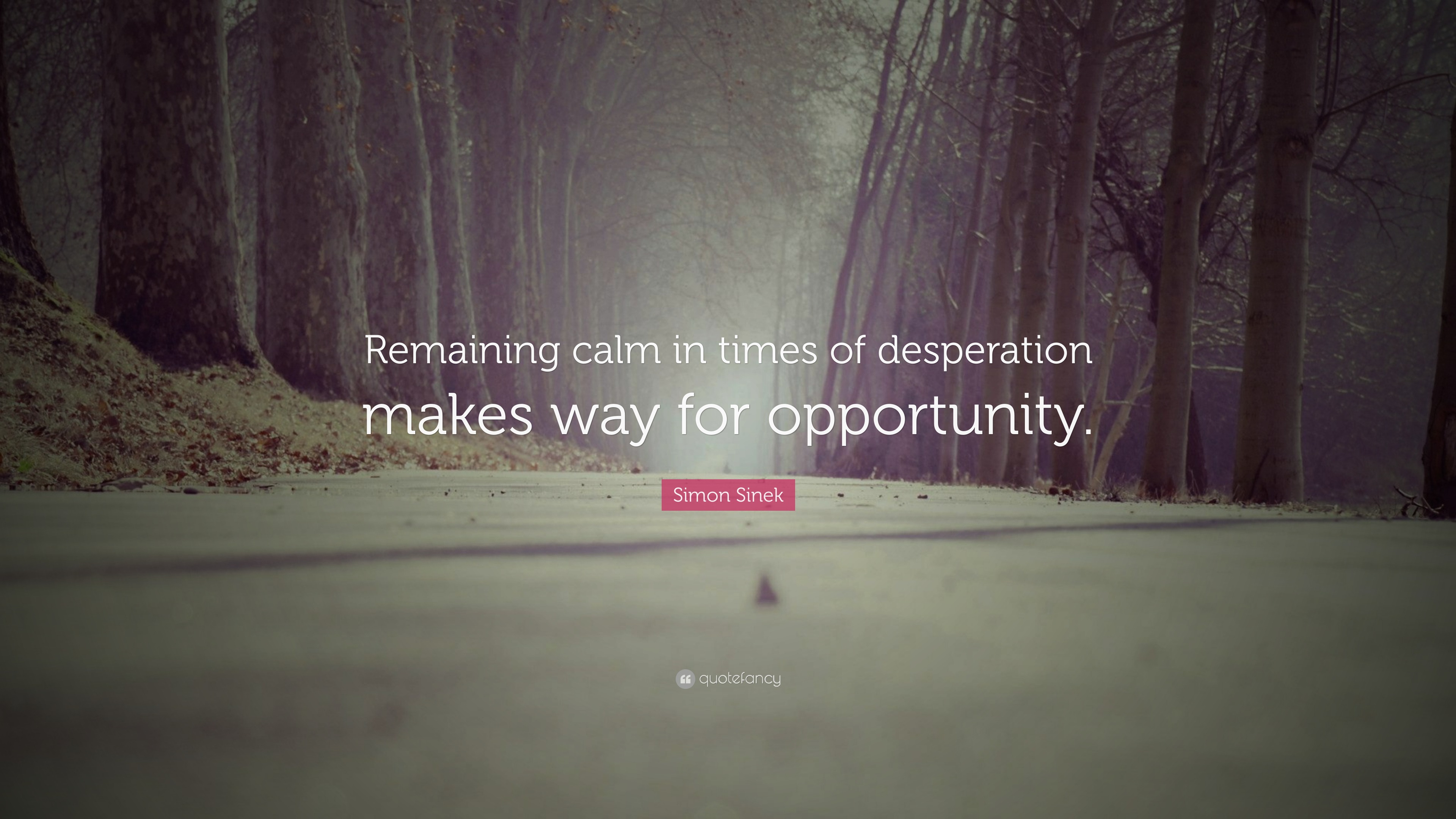 Simon Sinek Quote: “Remaining calm in times of desperation makes way
