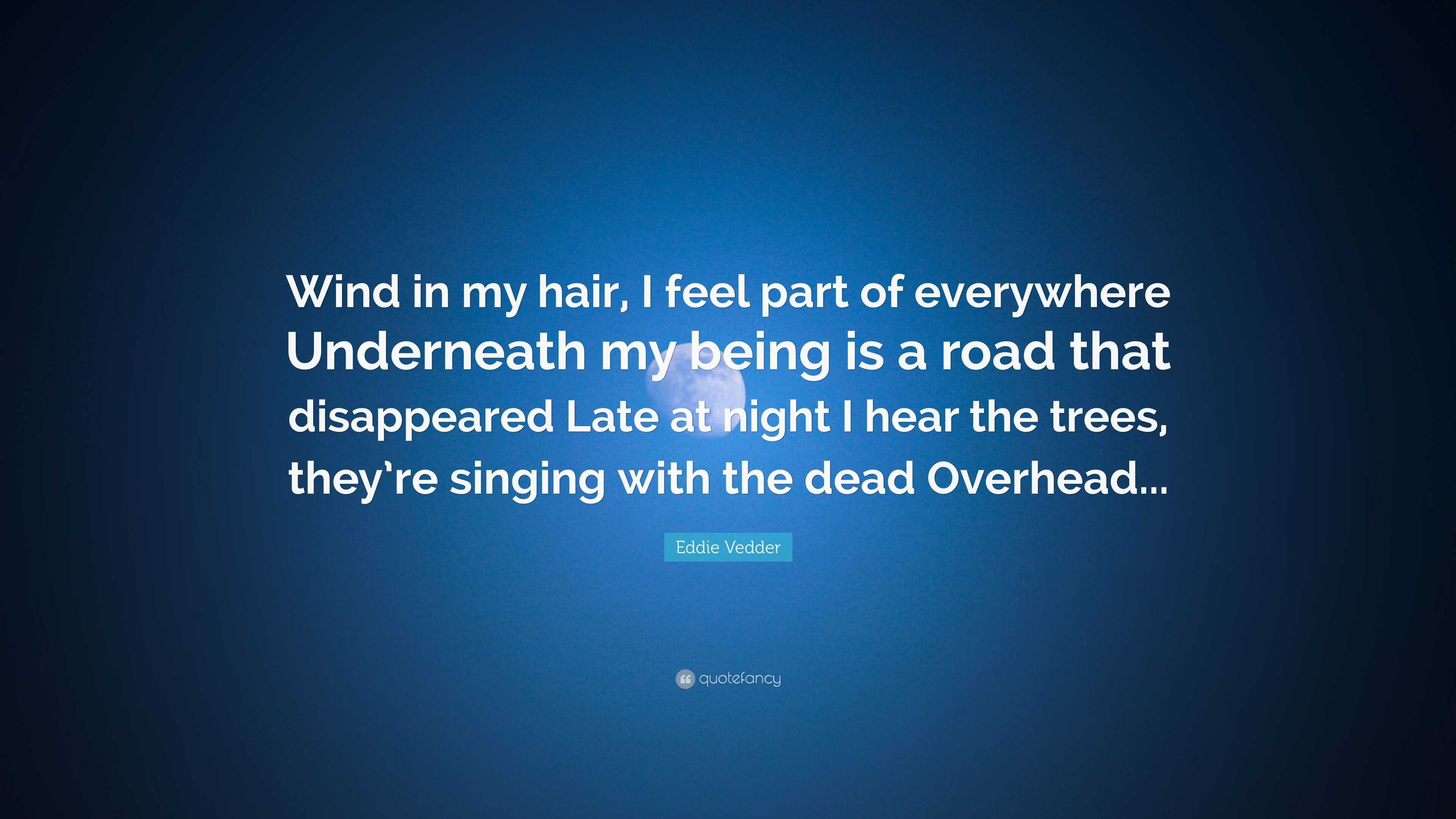 Eddie Vedder Quote “Wind in my hair, I feel part of everywhere