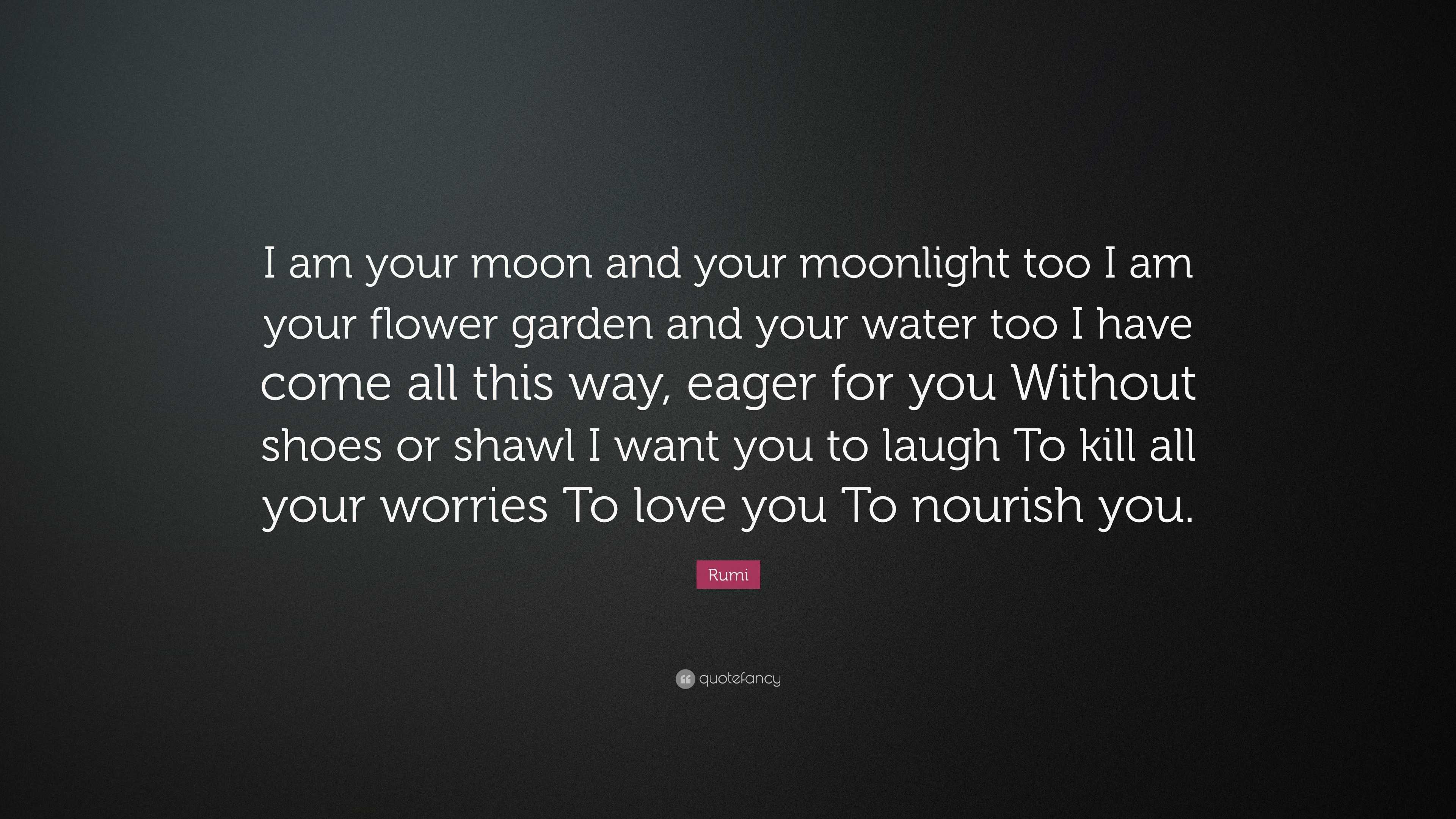 Rumi Quote “I am your moon and your moonlight too I am your flower