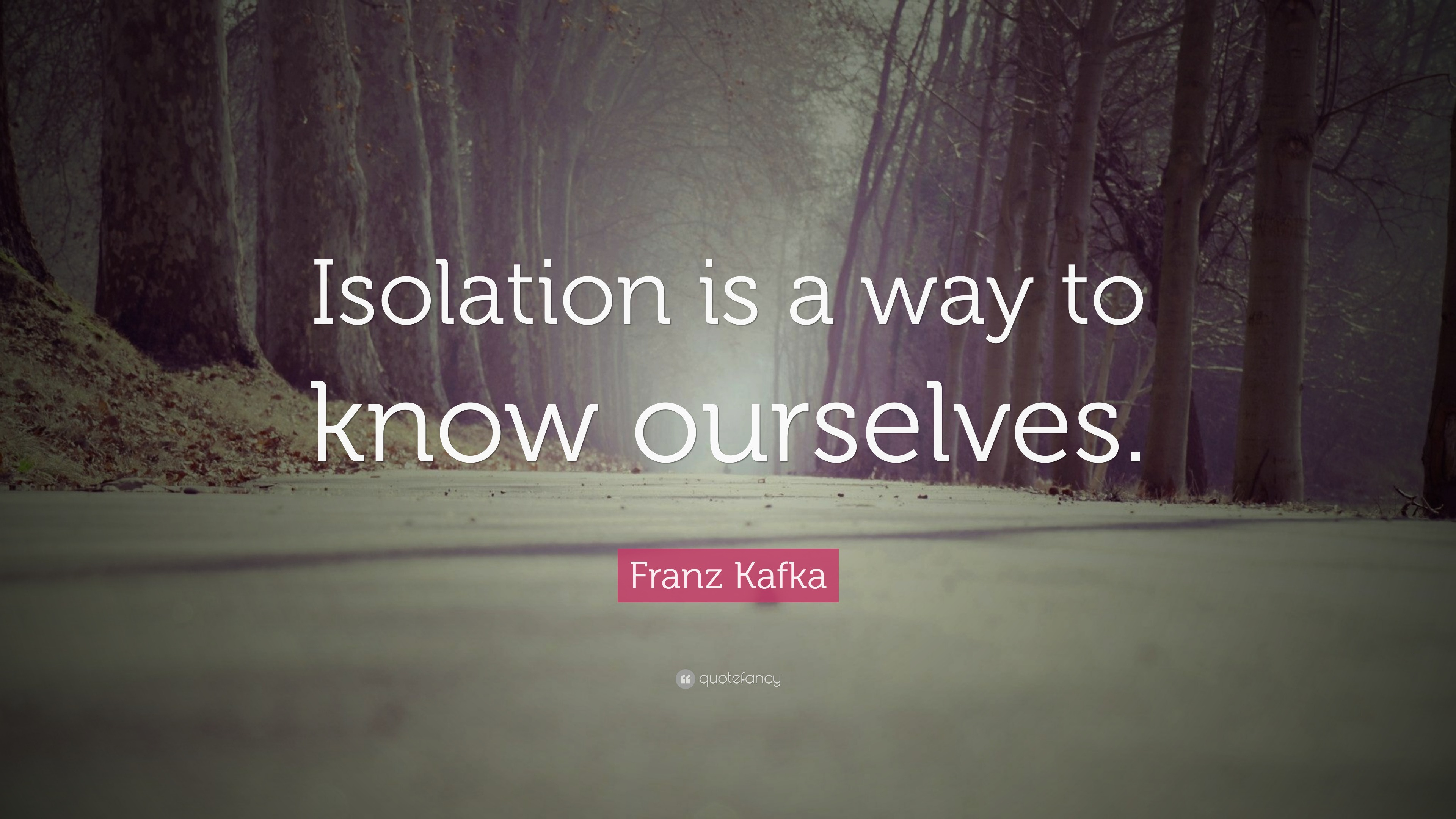 Franz Kafka Quote “Isolation is a way to know ourselves.”
