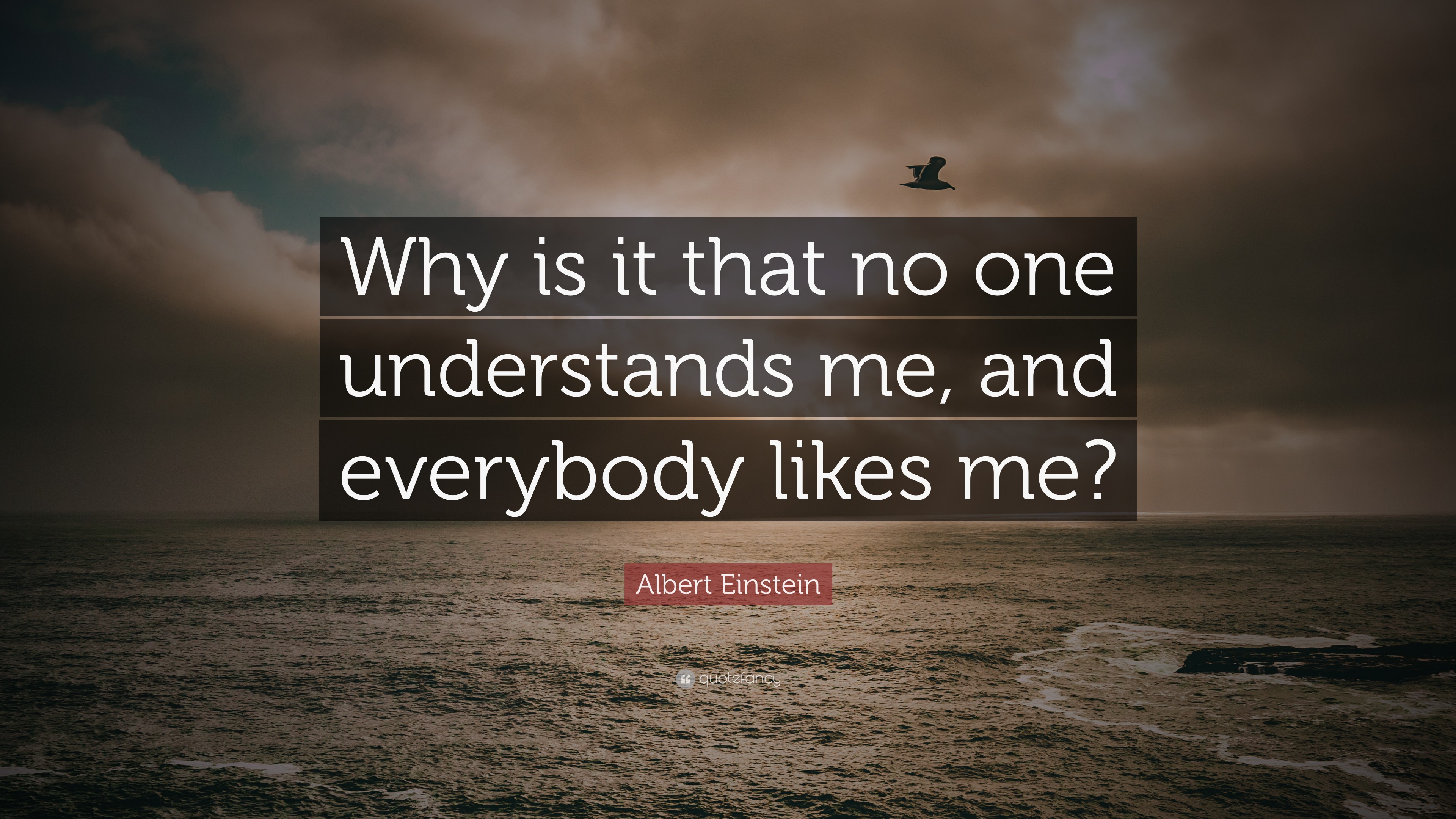 Albert Einstein Quote: “Why Is It That No One Understands Me, And ...