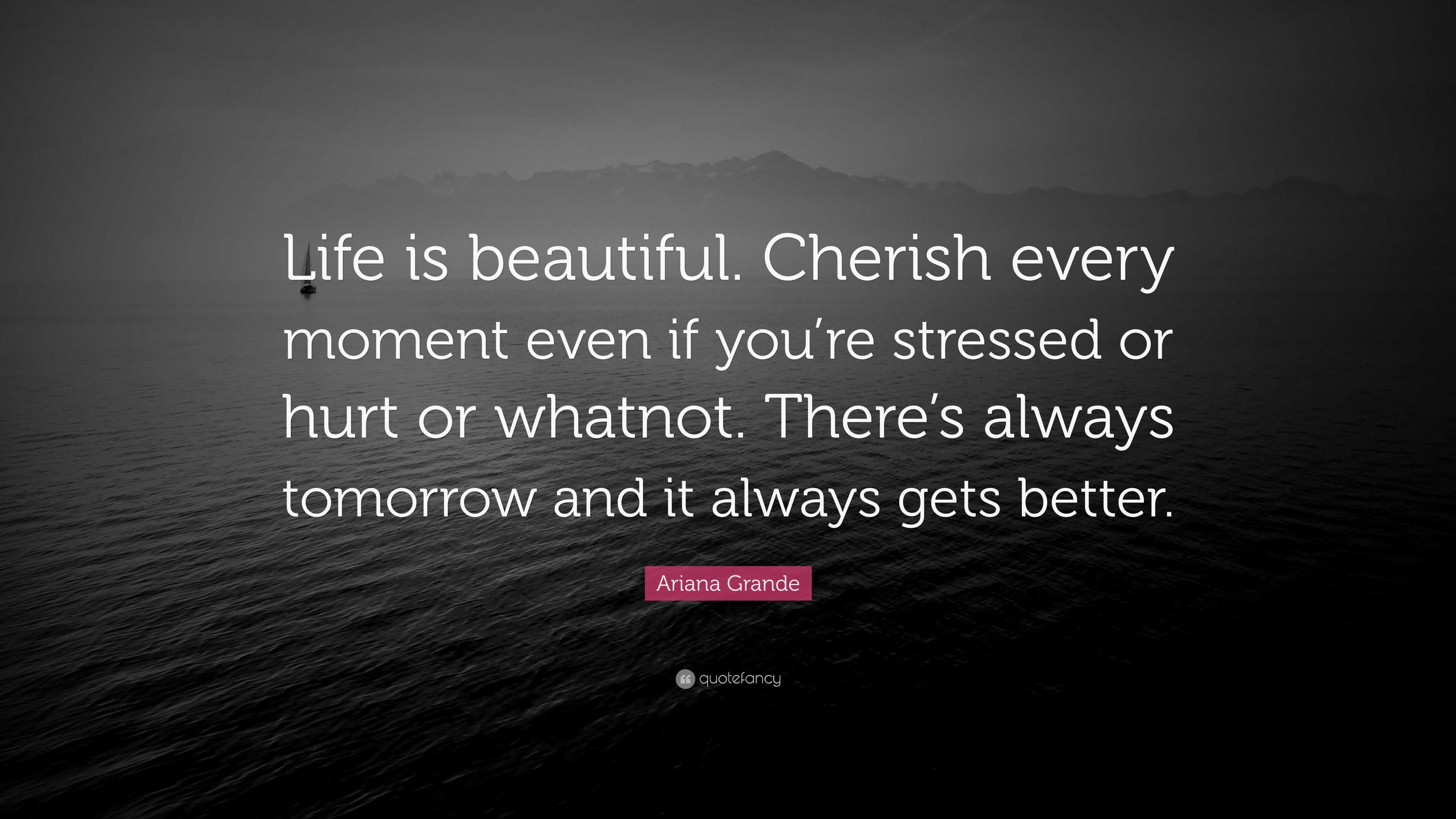 Cherish Every Moment Quotes Life Quotes Cherish Lifes Moments