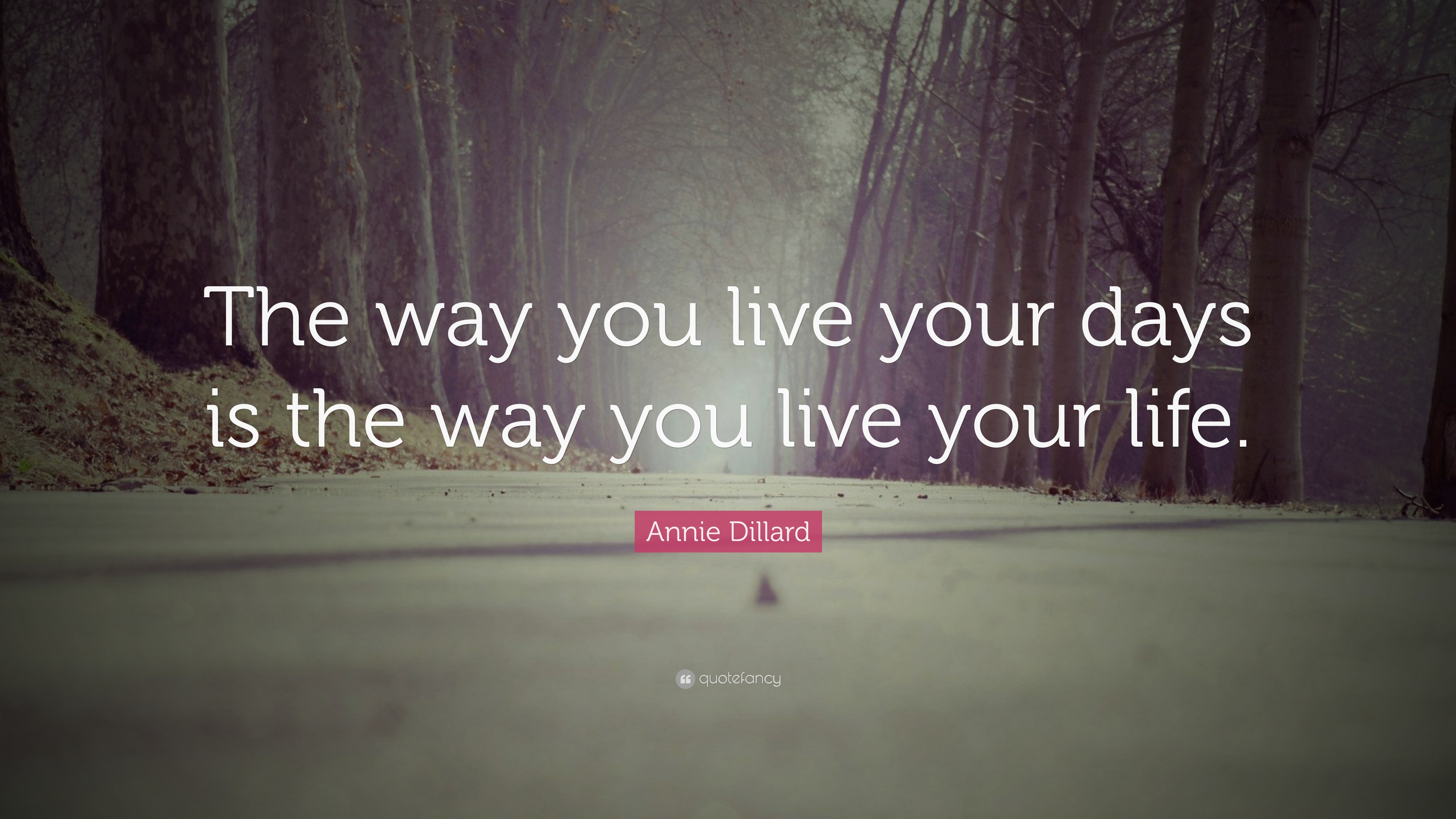 Annie Dillard Quote: “The way you live your days is the way you live ...