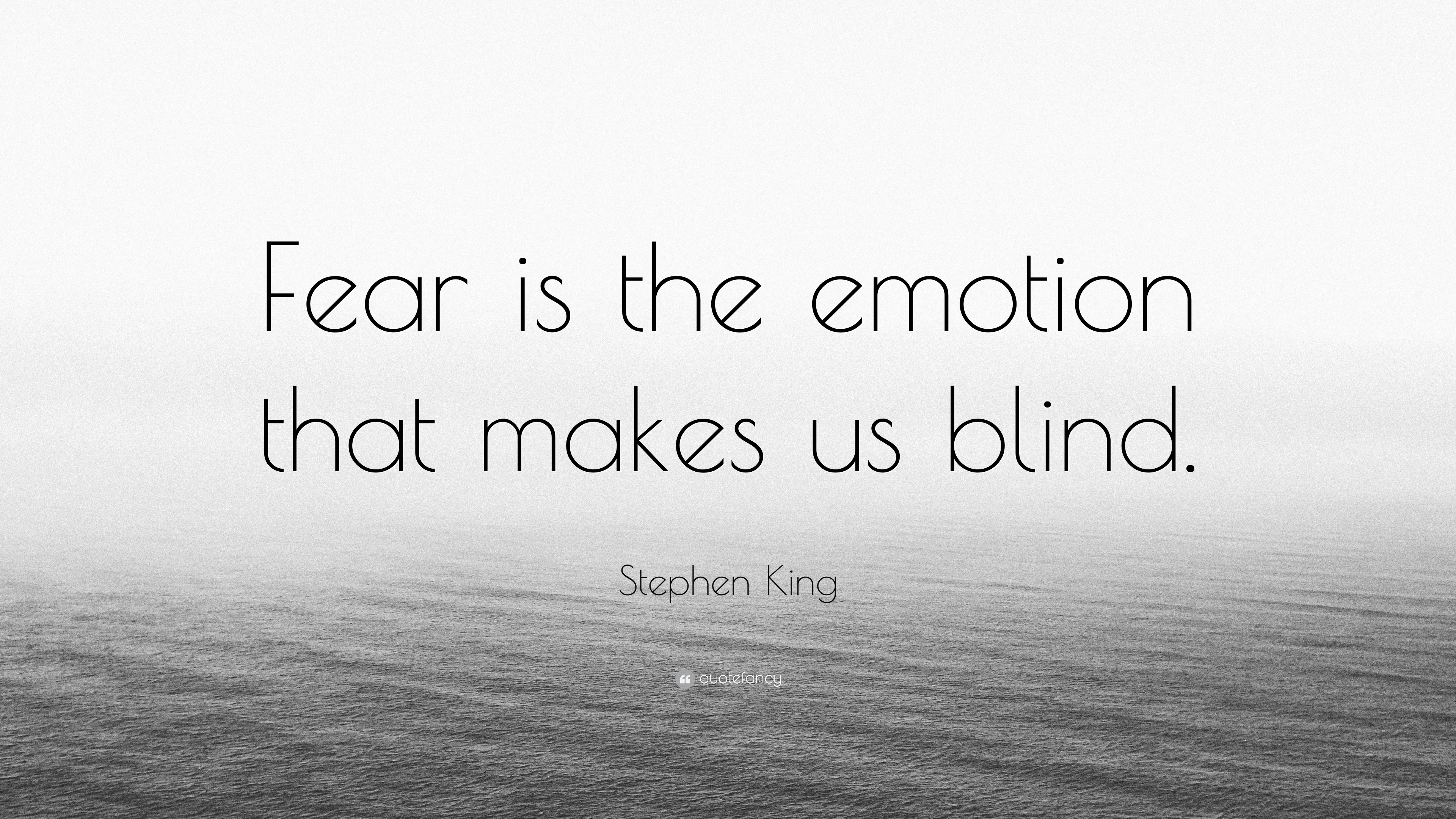 Stephen King Quote “Fear is the emotion that makes us blind.”