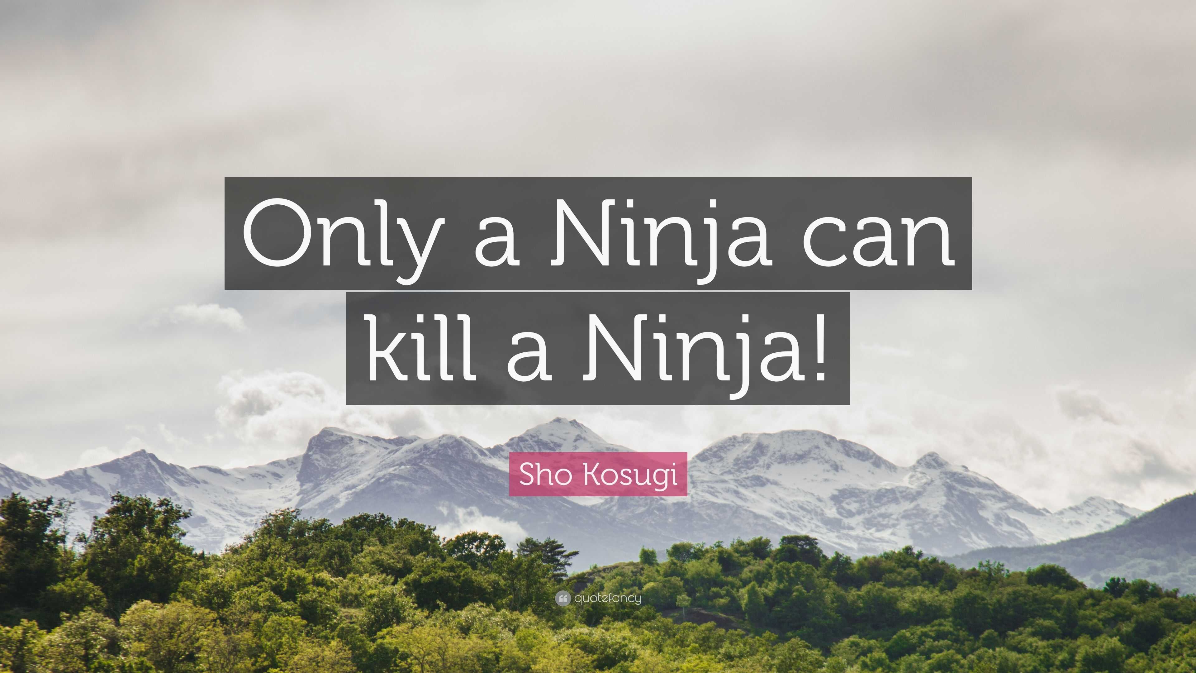 terminal ninja quote