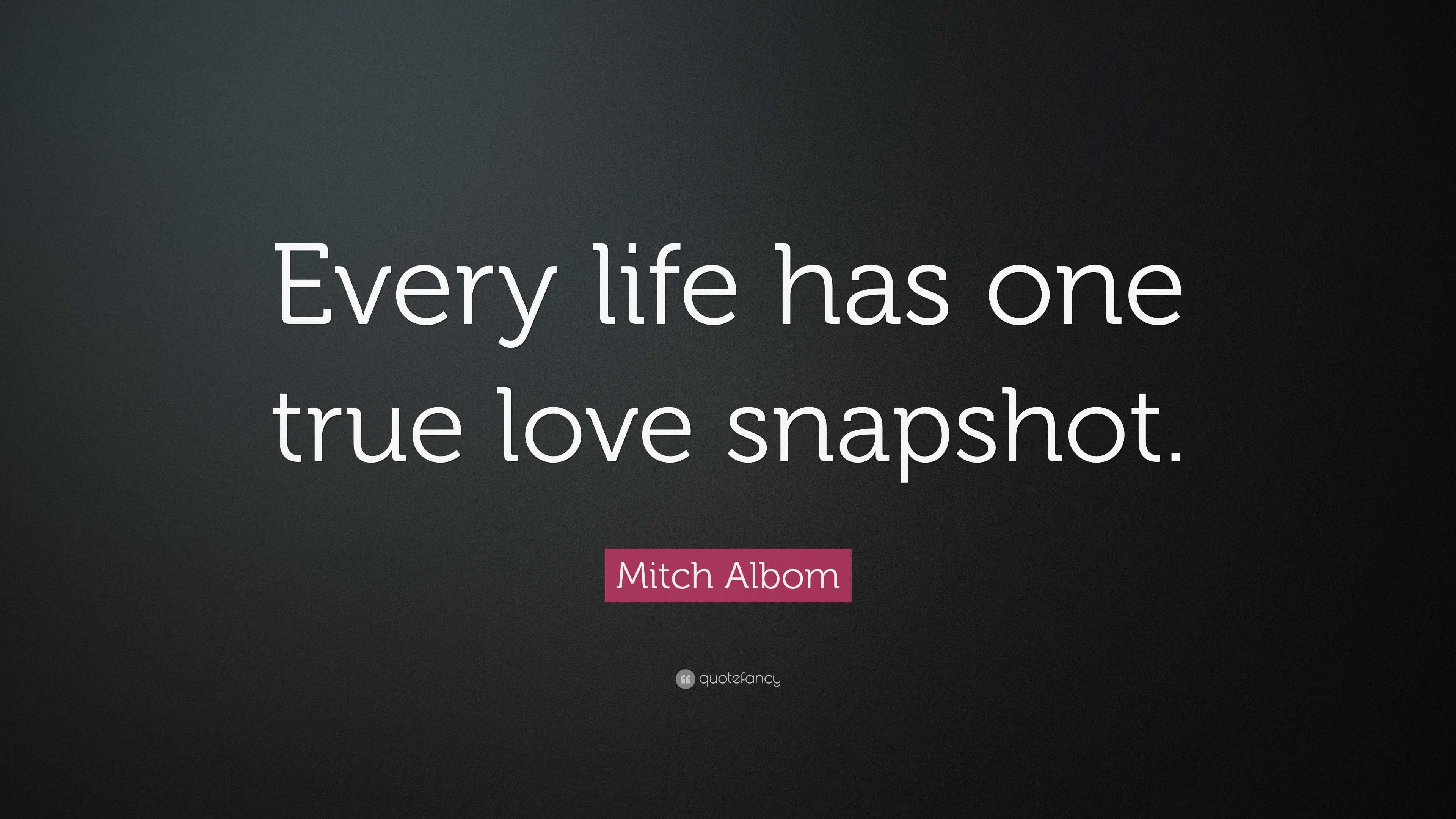 Mitch Albom Quote  Every life has one  true  love  snapshot 