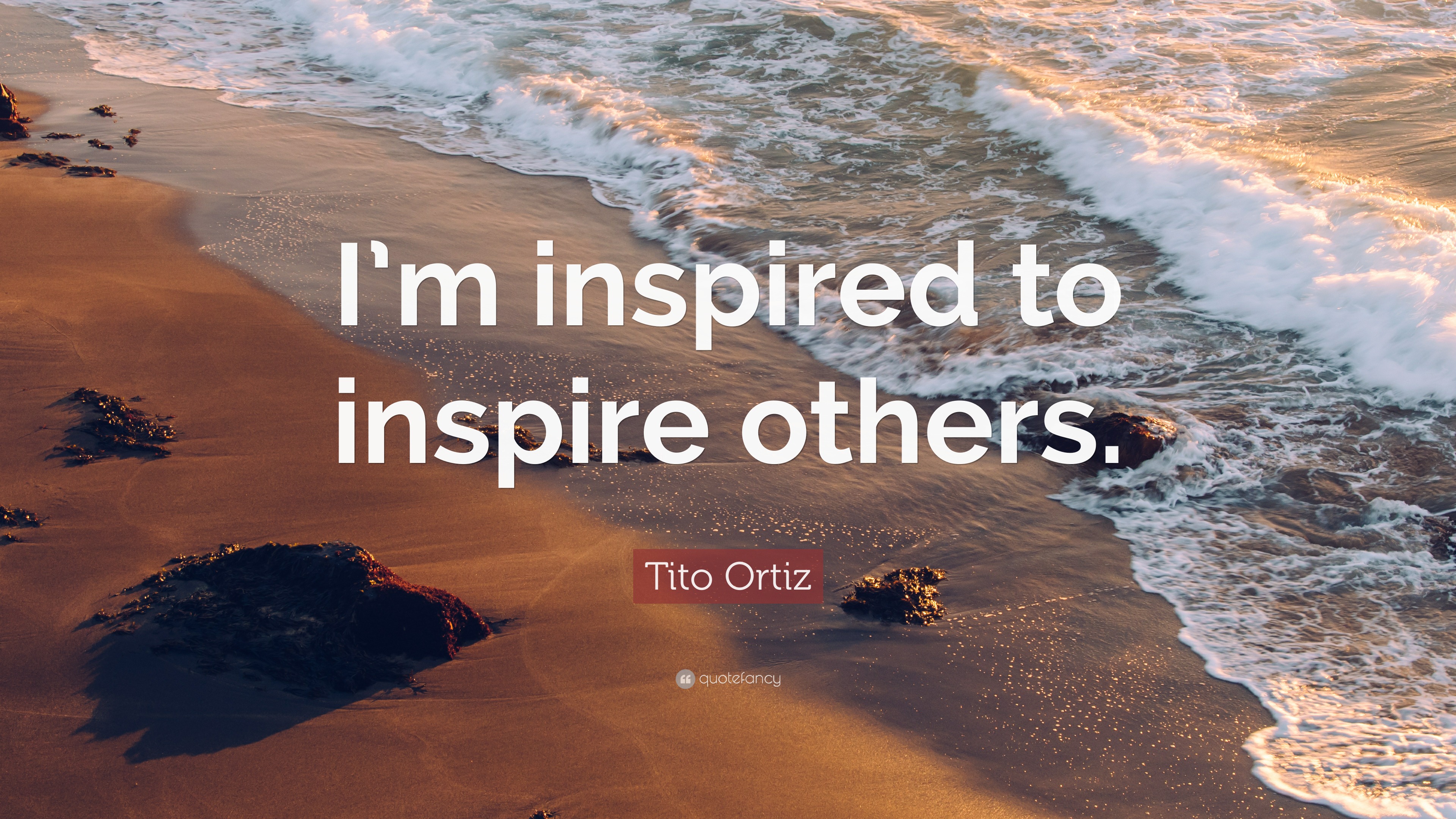 Tito Ortiz Quote: “I’m inspired to inspire others.”