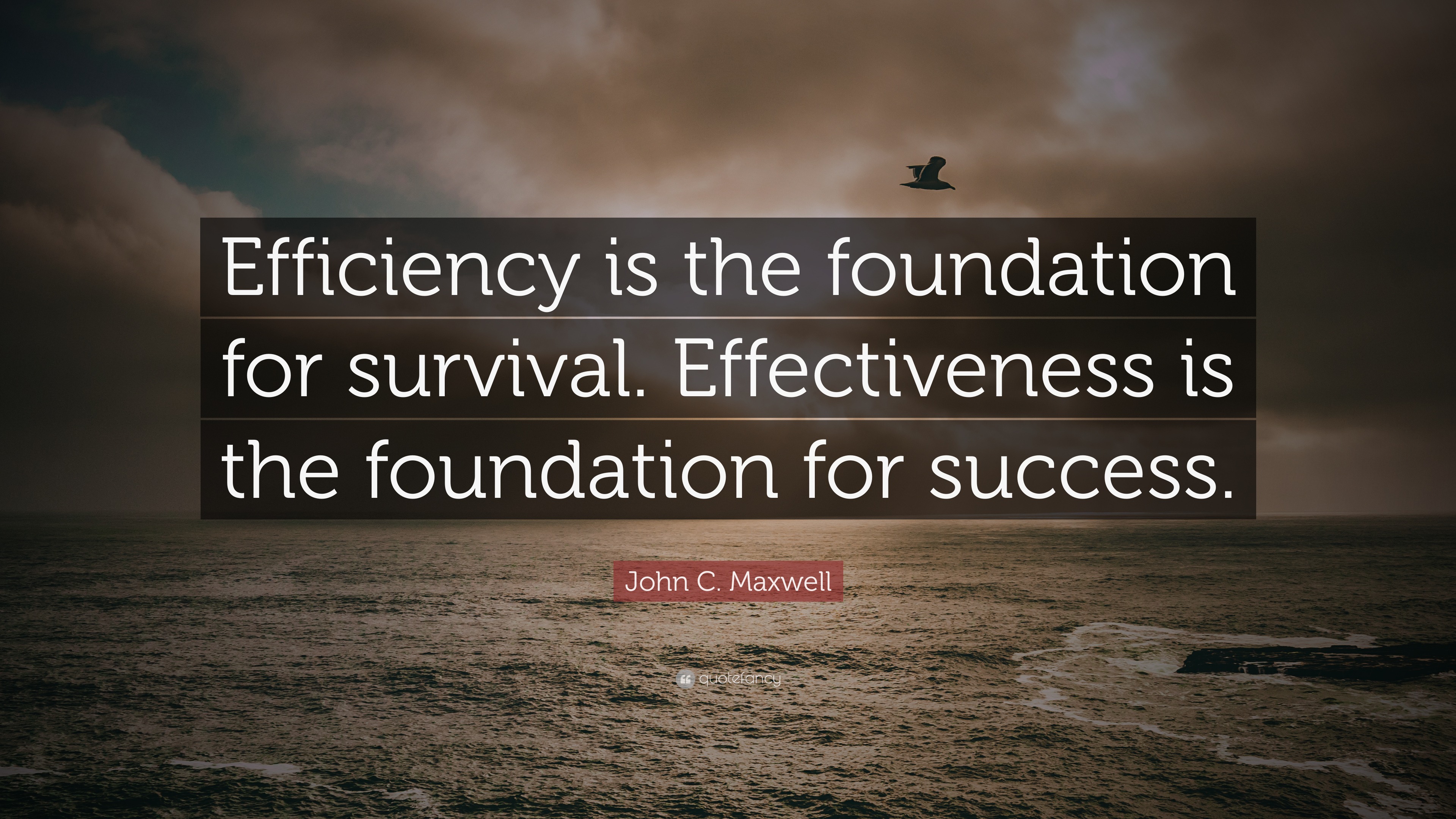 Quotes About Efficiency Photos