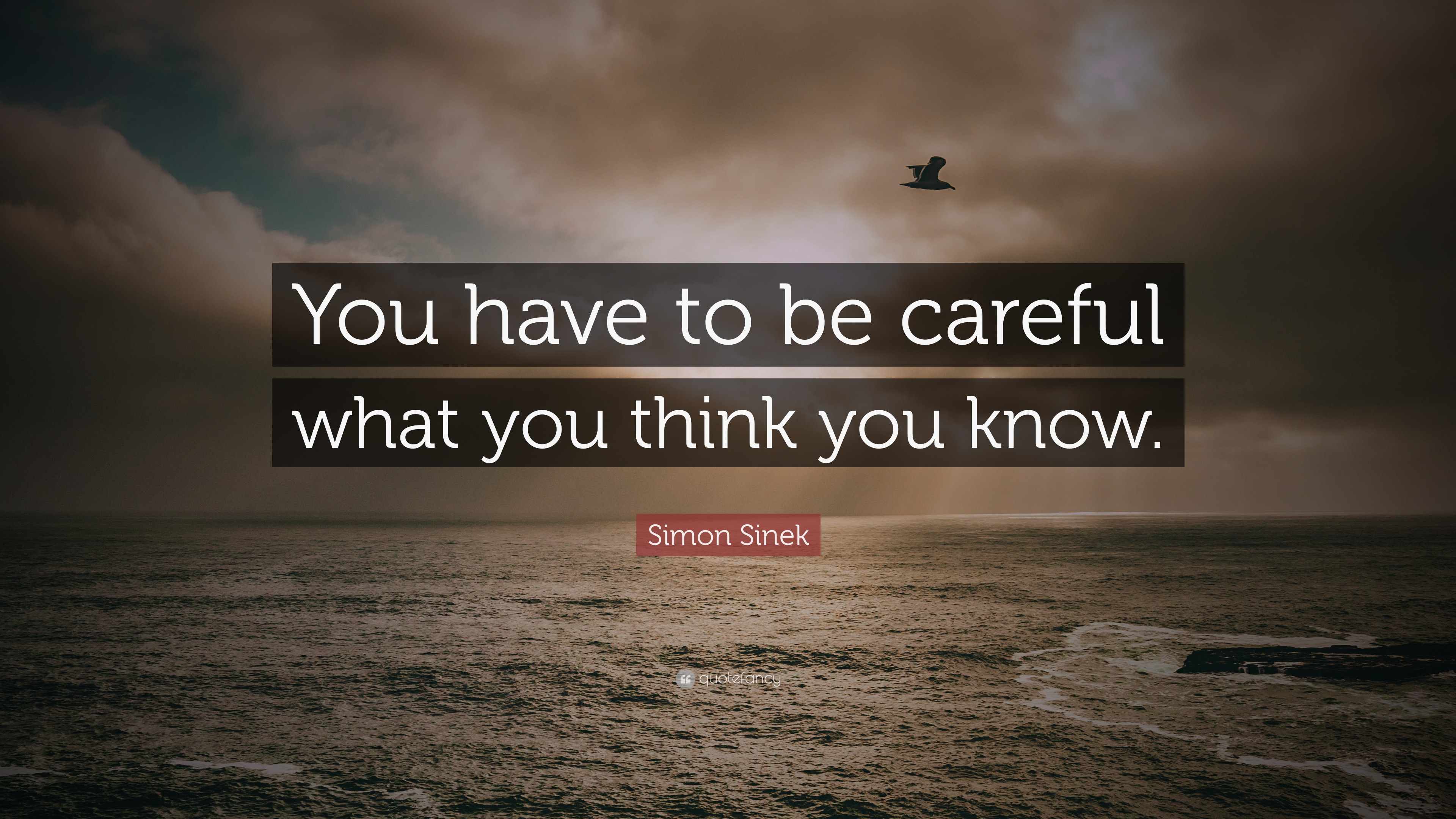 Simon Sinek Quote: “You have to be careful what you think you know.”