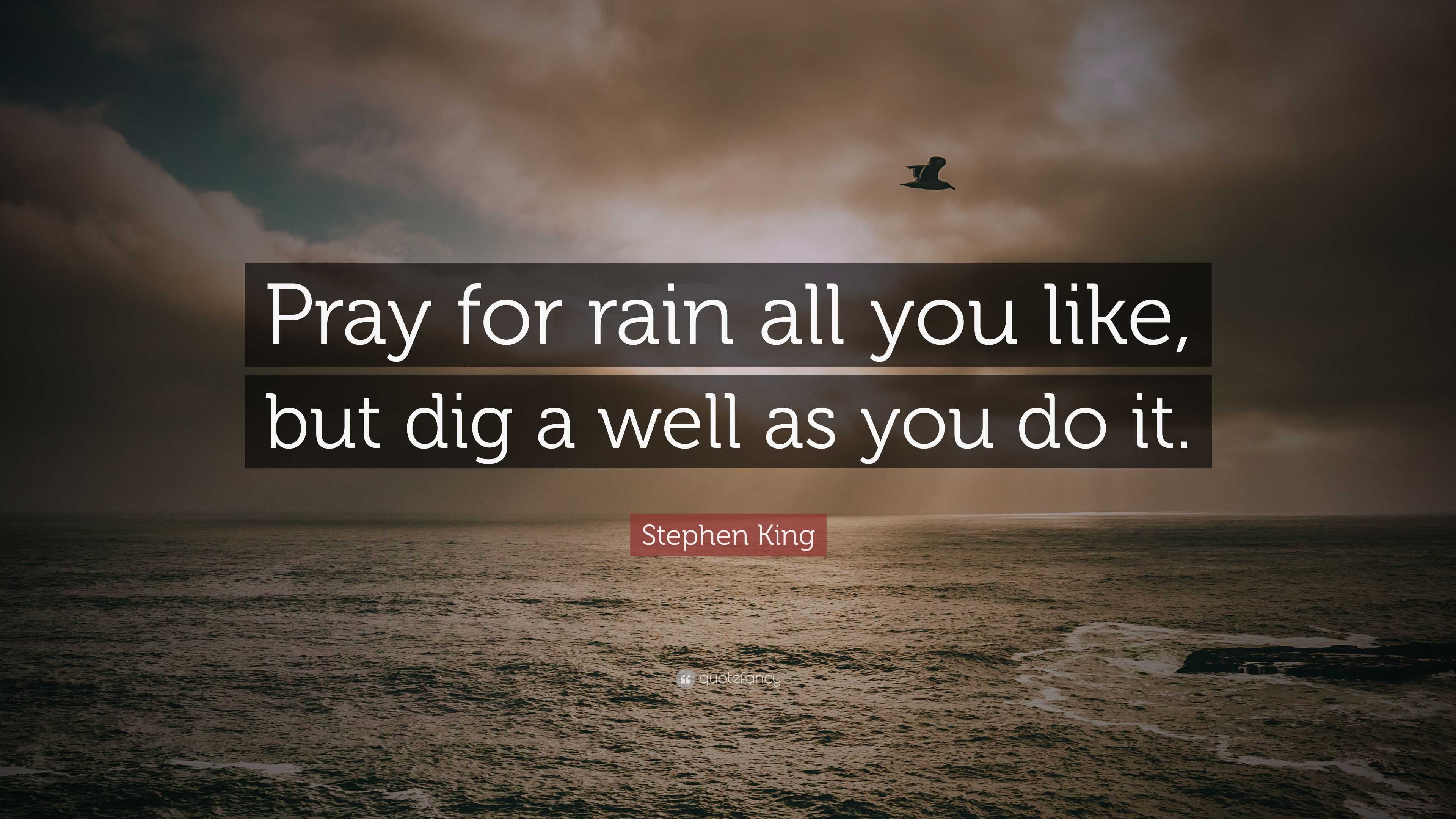 Stephen King Quote: “Pray for rain all you like, but dig a well as you ...